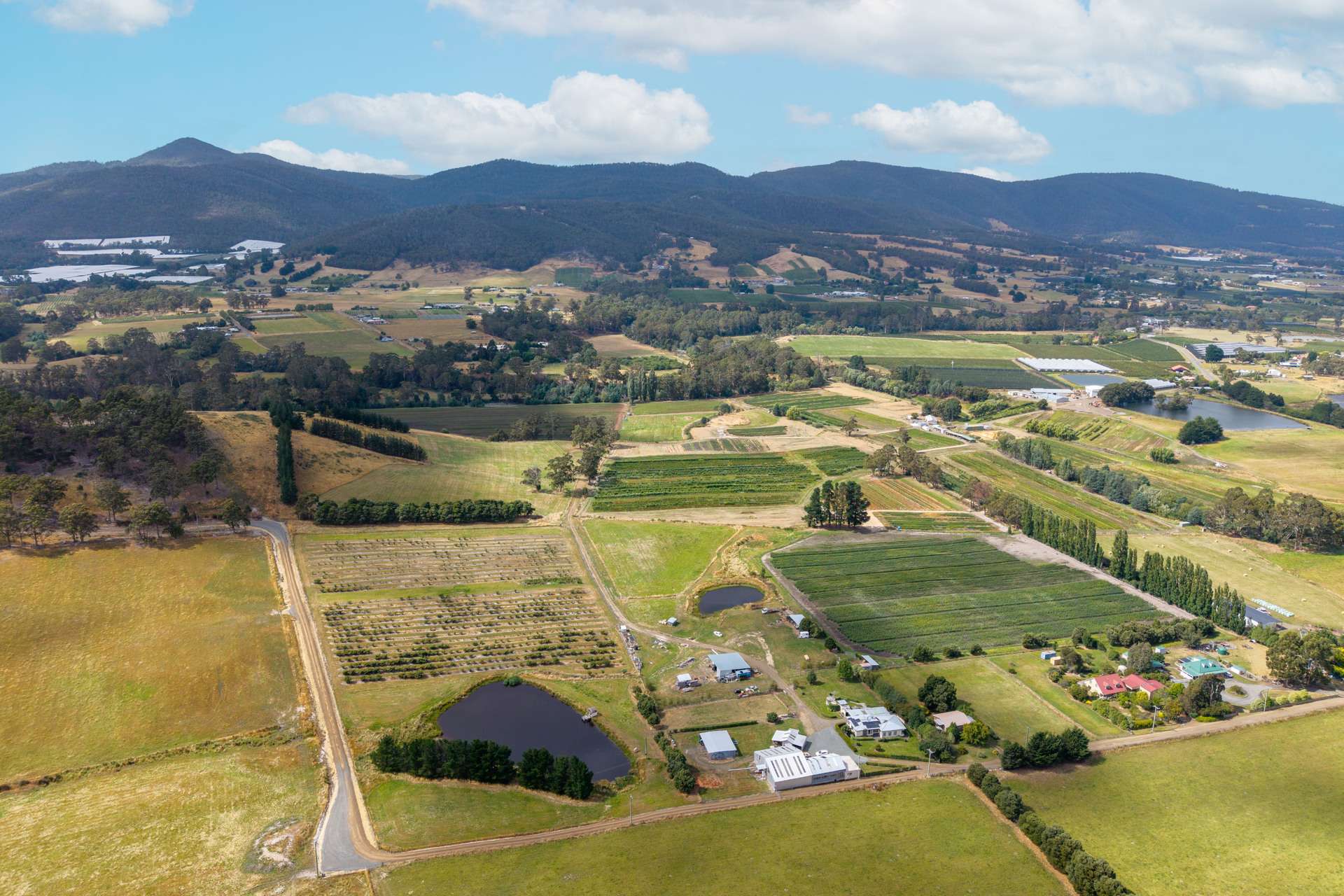 58 Bells Road, Lucaston For Sale by Farmbuy.com - image 33