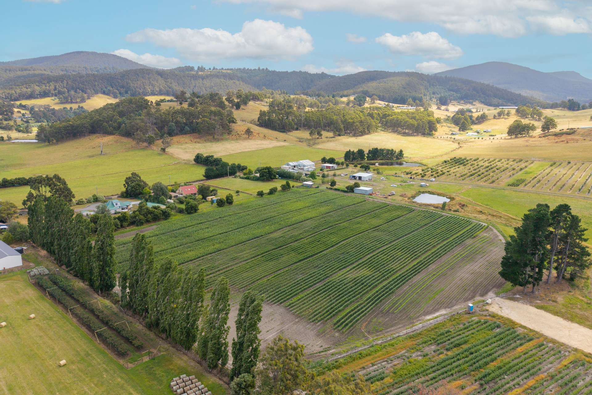 58 Bells Road, Lucaston For Sale by Farmbuy.com - image 18