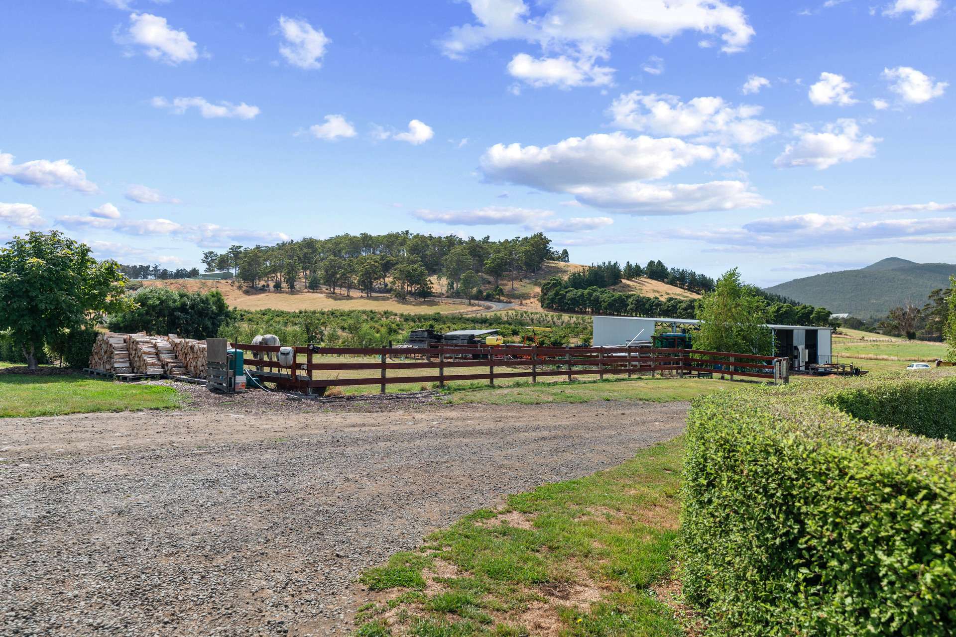 58 Bells Road, Lucaston For Sale by Farmbuy.com - image 31