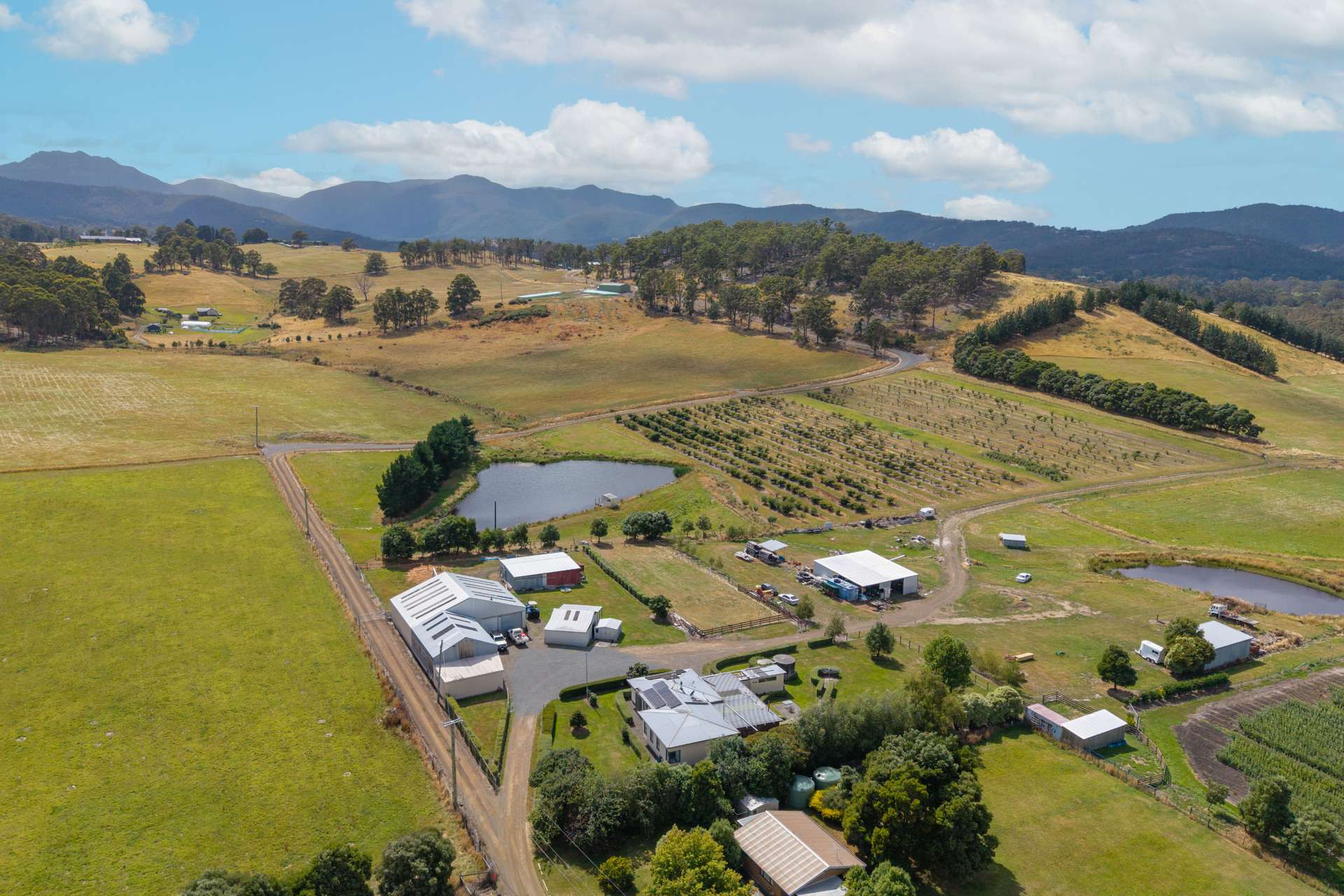 58 Bells Road, Lucaston For Sale by Farmbuy.com - image 34