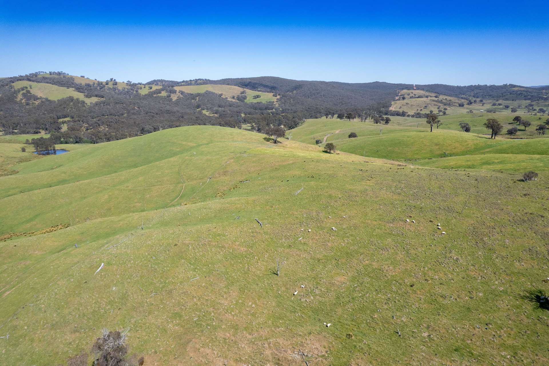 _ Fish River Road, Crookwell For Sale by Farmbuy.com - image 31