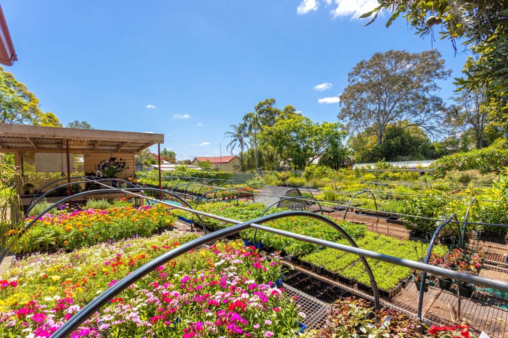1-5 William Street, Wingham For Sale by Farmbuy.com - image 4