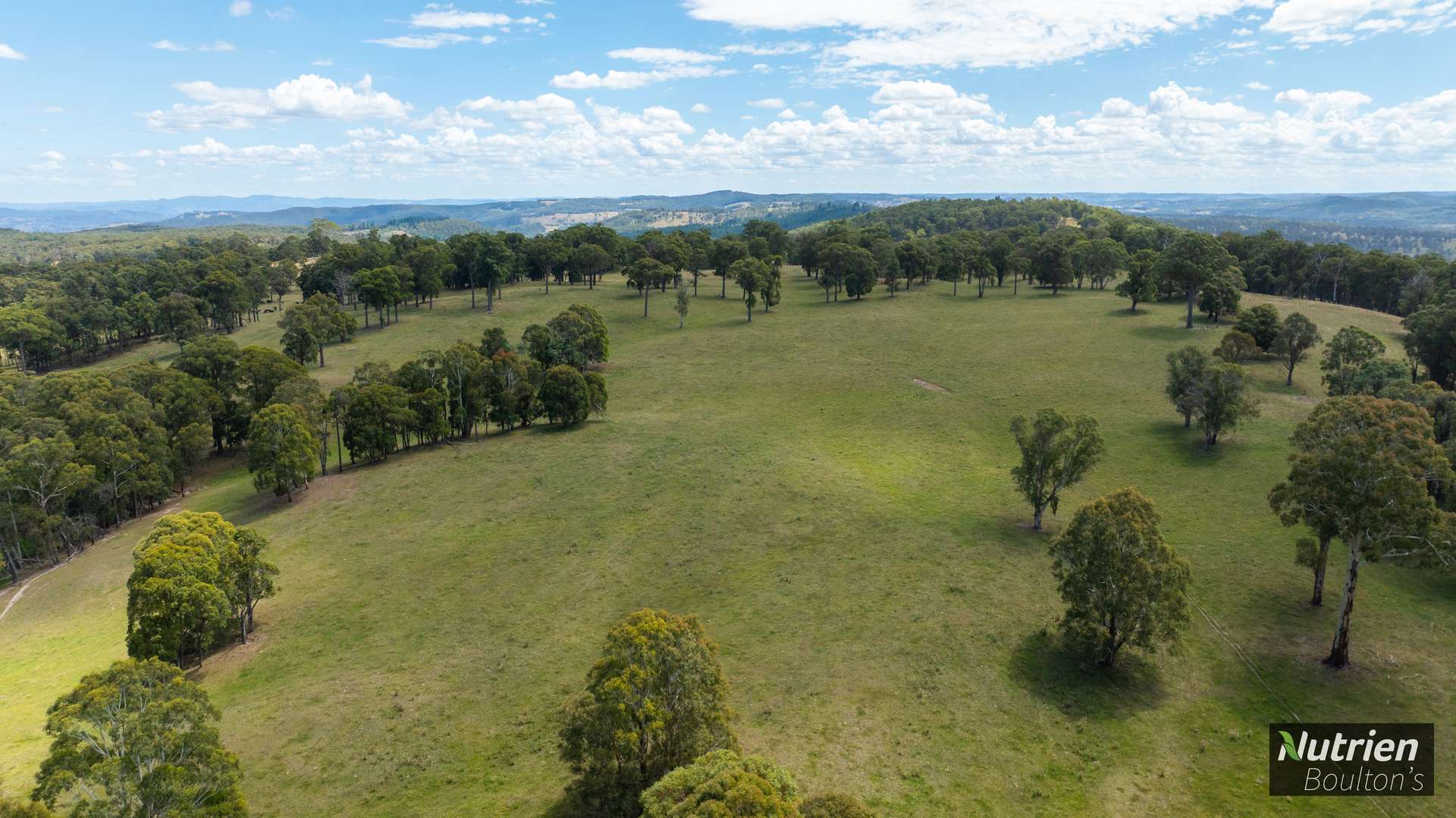 224 Niangala-Walcha Road, Niangala For Sale by Farmbuy.com - image 19