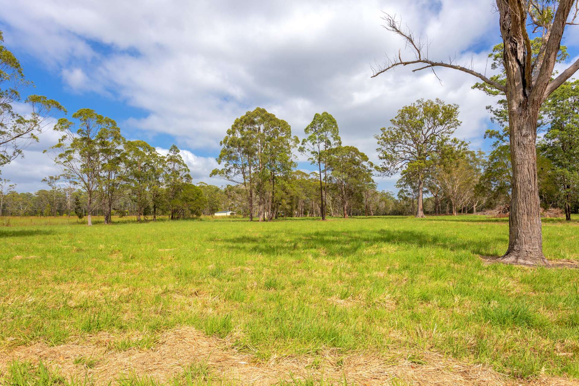 192 Glen Ora Road, Nabiac For Sale by Farmbuy.com - image 17