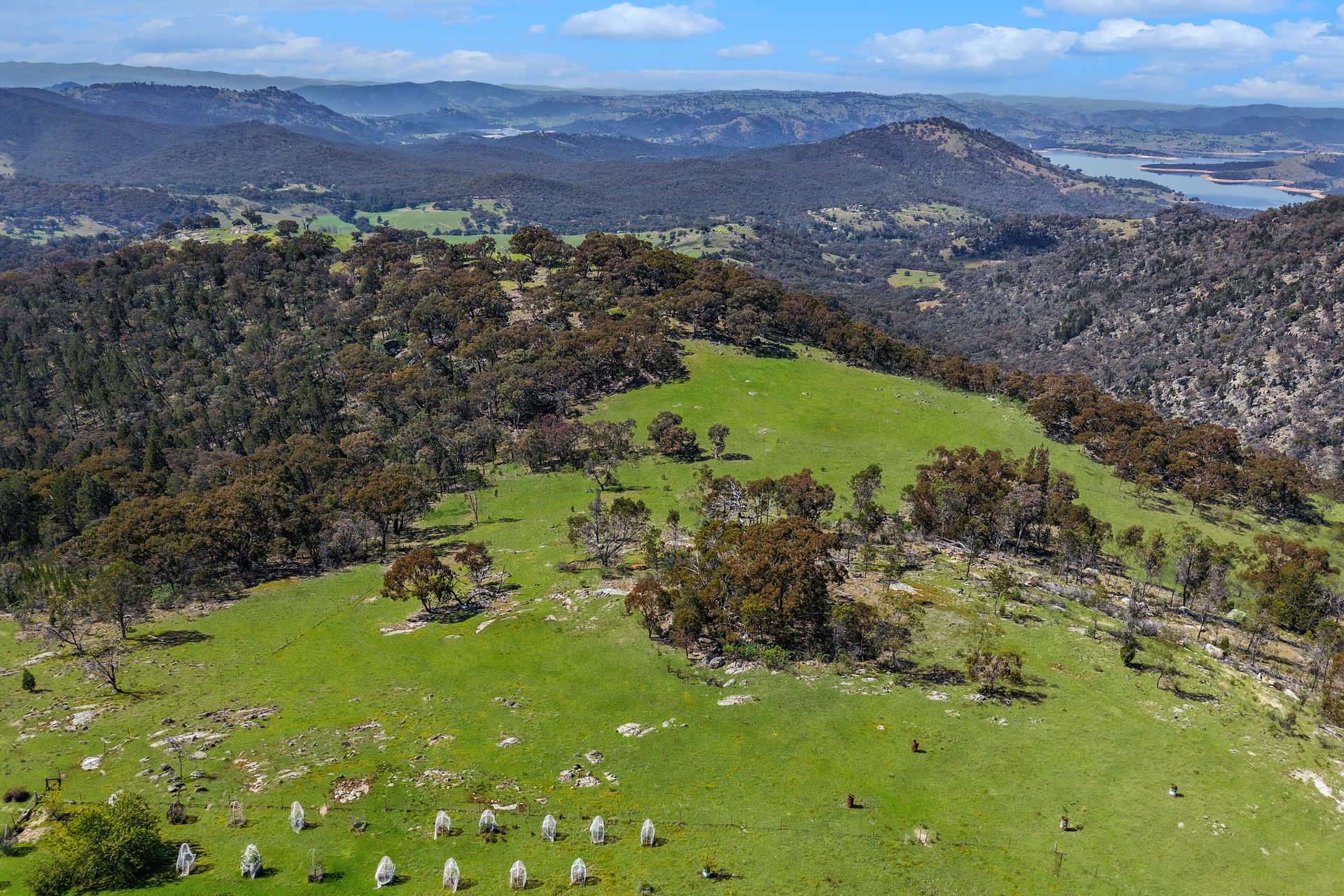 246 Clements Road, Woodstock For Sale by Farmbuy.com - image 28