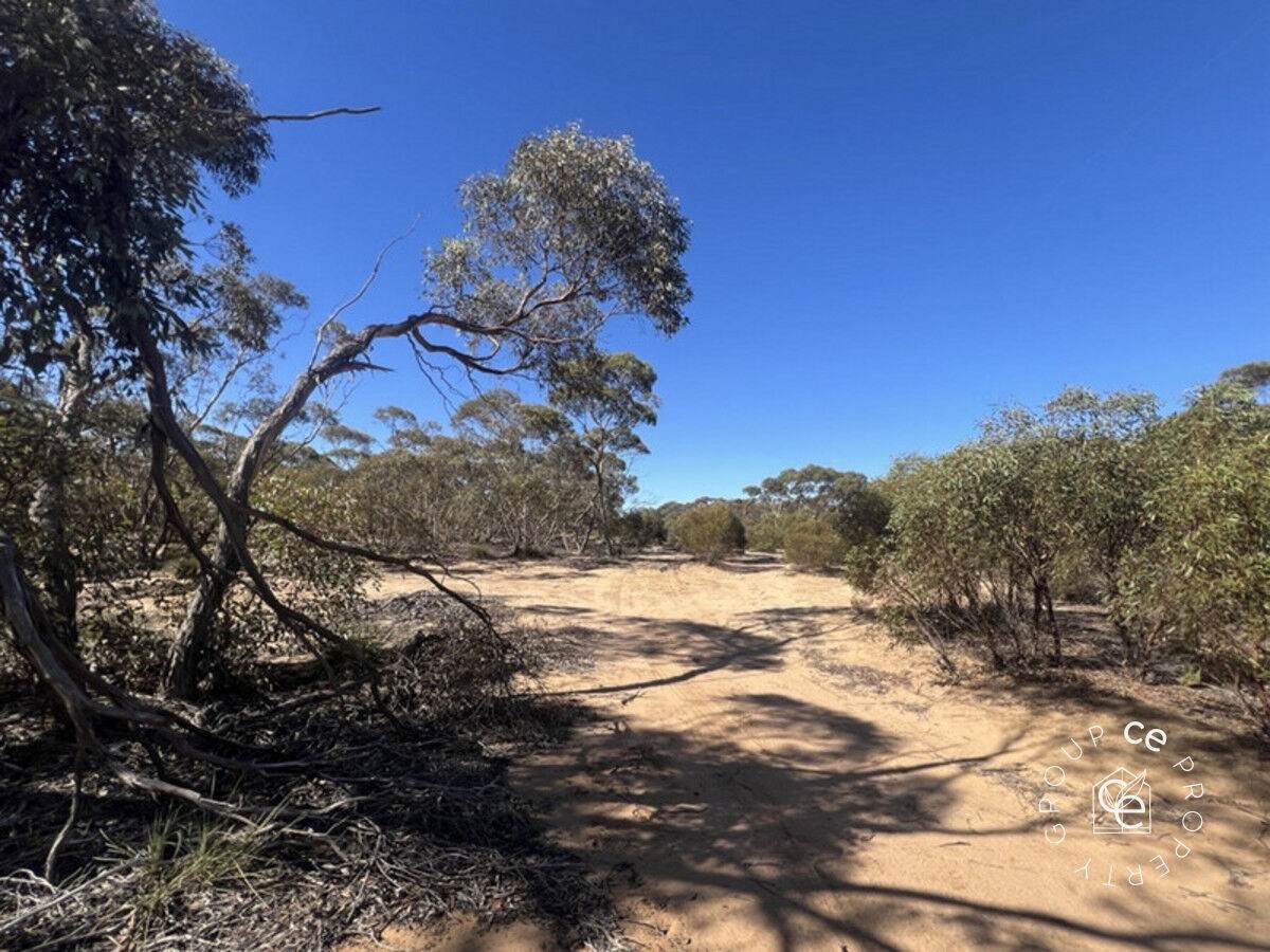 Lot 31 Black Hill Road, Cambrai For Sale by Farmbuy.com - image 2