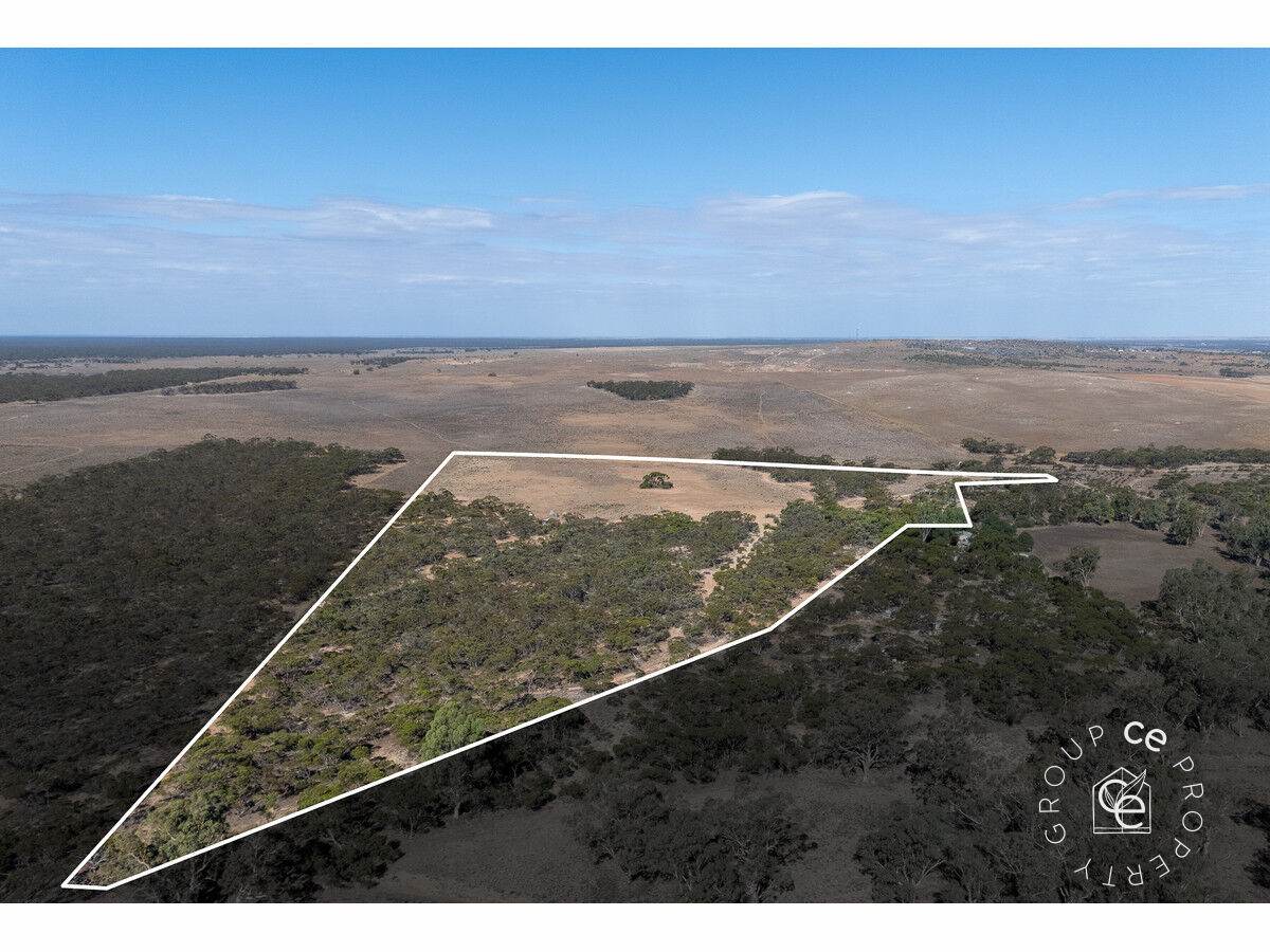 Lot 31 Black Hill Road, Cambrai For Sale by Farmbuy.com - image 25