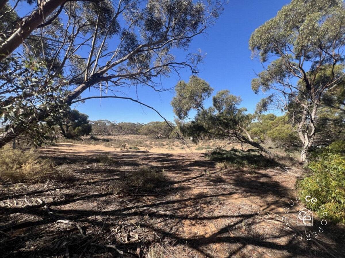 Lot 31 Black Hill Road, Cambrai For Sale by Farmbuy.com - image 3