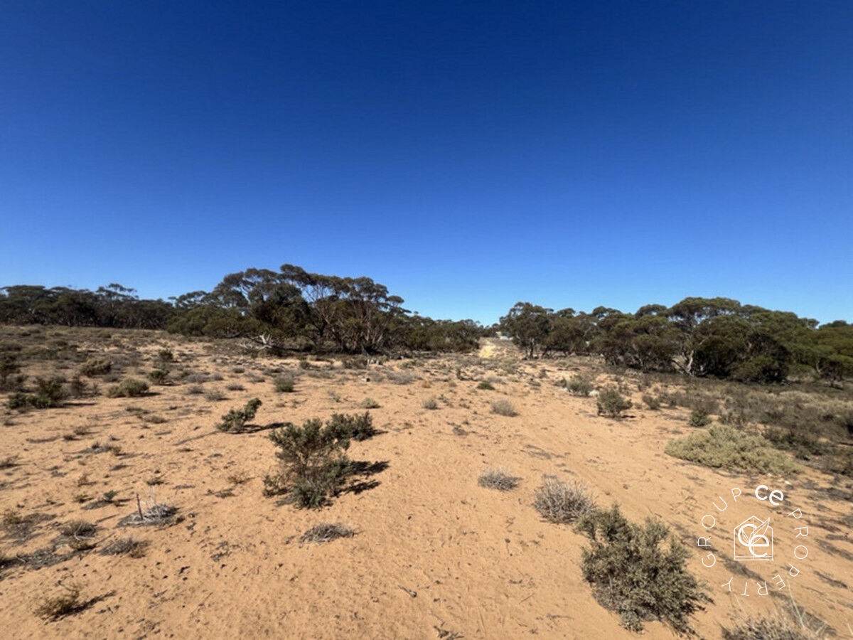 Lot 31 Black Hill Road, Cambrai For Sale by Farmbuy.com - image 5