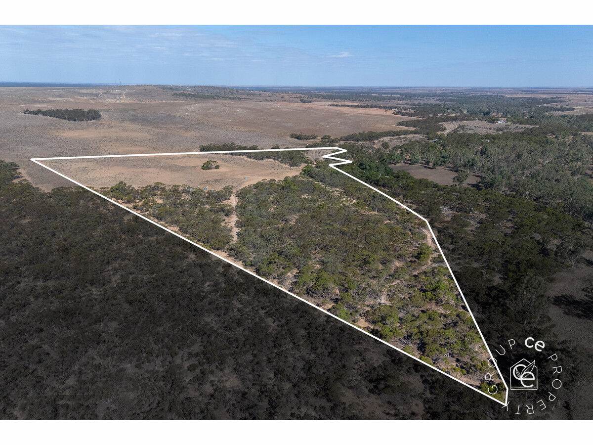 Lot 31 Black Hill Road, Cambrai For Sale by Farmbuy.com - image 27