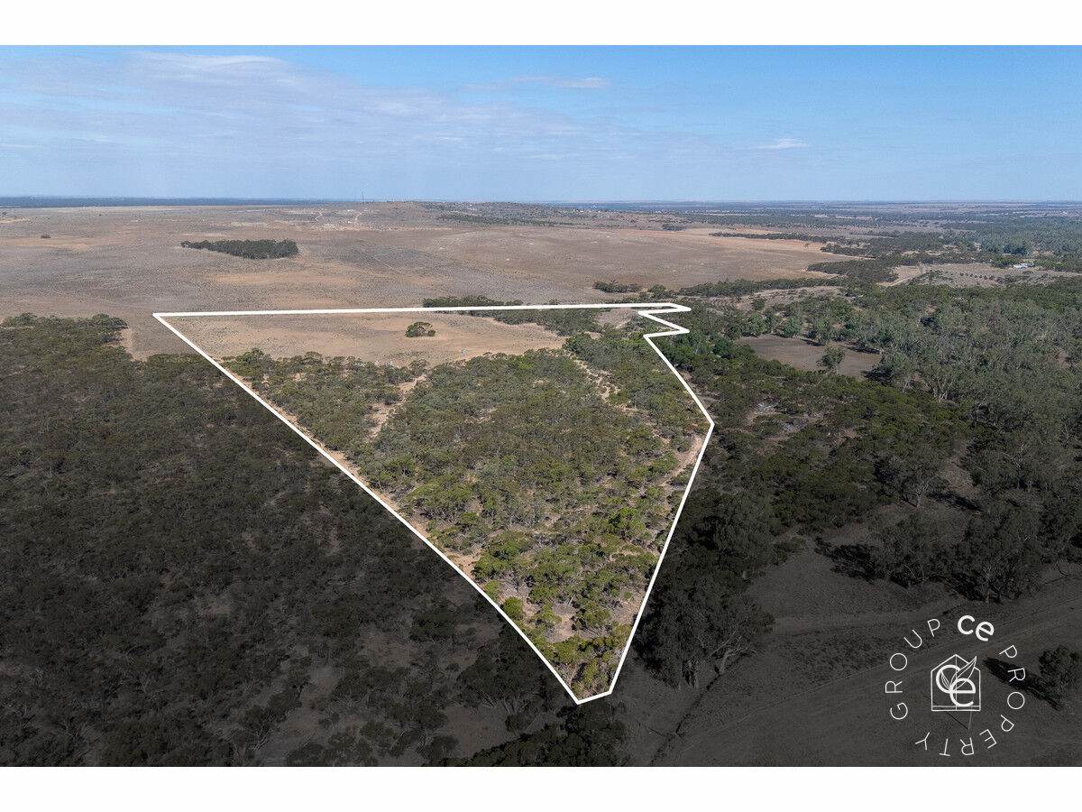 Lot 31 Black Hill Road, Cambrai For Sale by Farmbuy.com - image 26