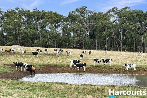 Farm Sold - VIC - Leongatha South - 3953 - Prime 160 Acre Turnout Paddock in South Gippsland! 