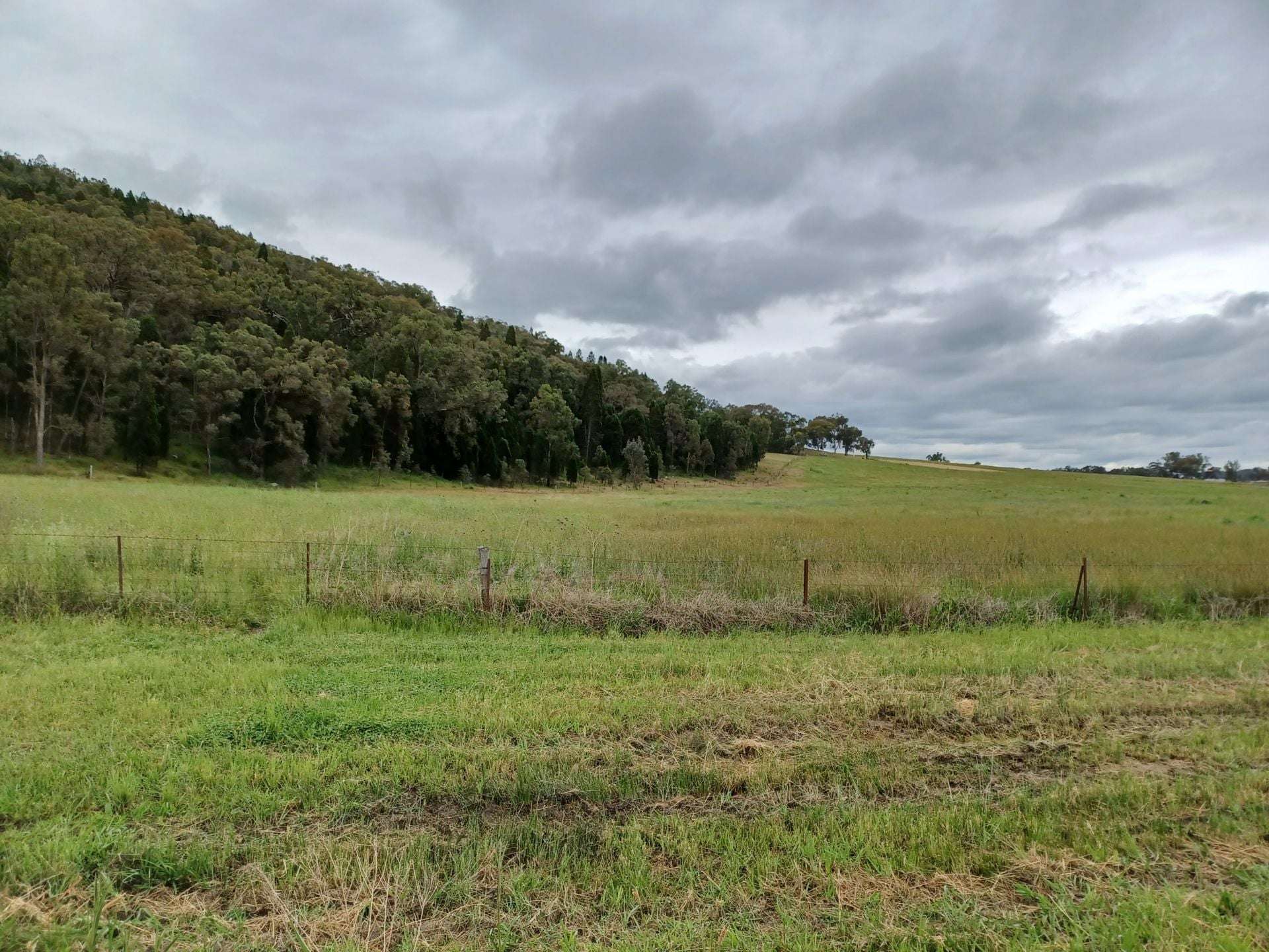 Lot 5/277 Blacksprings Rd, Eurunderee For Sale by Farmbuy.com - image 2
