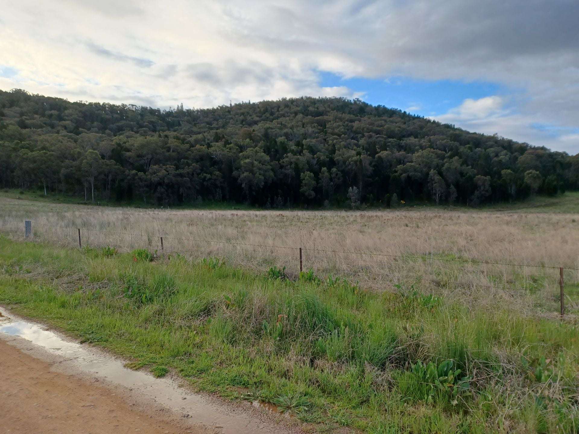 Lot 5/277 Blacksprings Rd, Eurunderee For Sale by Farmbuy.com - image 4