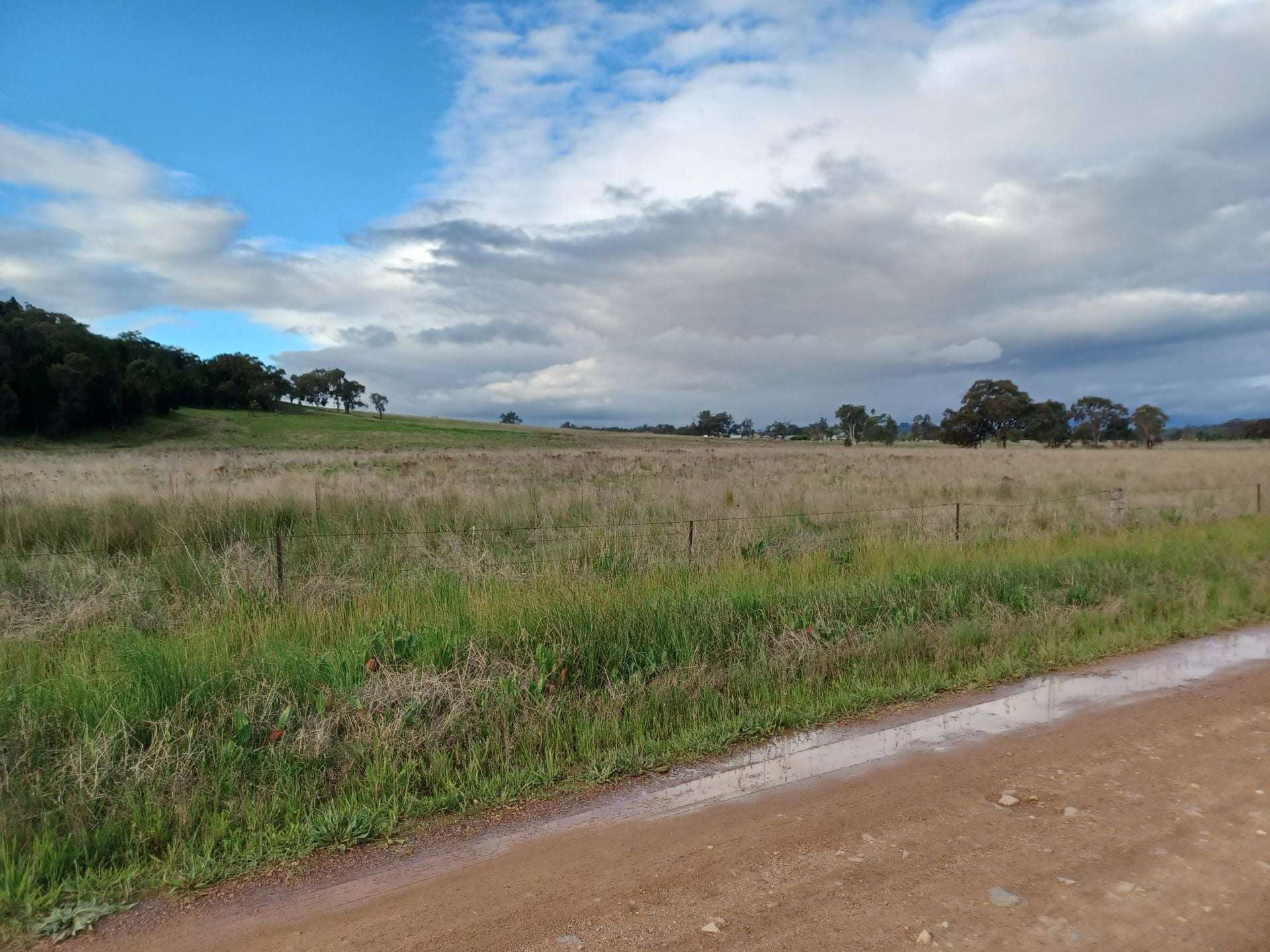 Lot 5/277 Blacksprings Rd, Eurunderee For Sale by Farmbuy.com - image 3