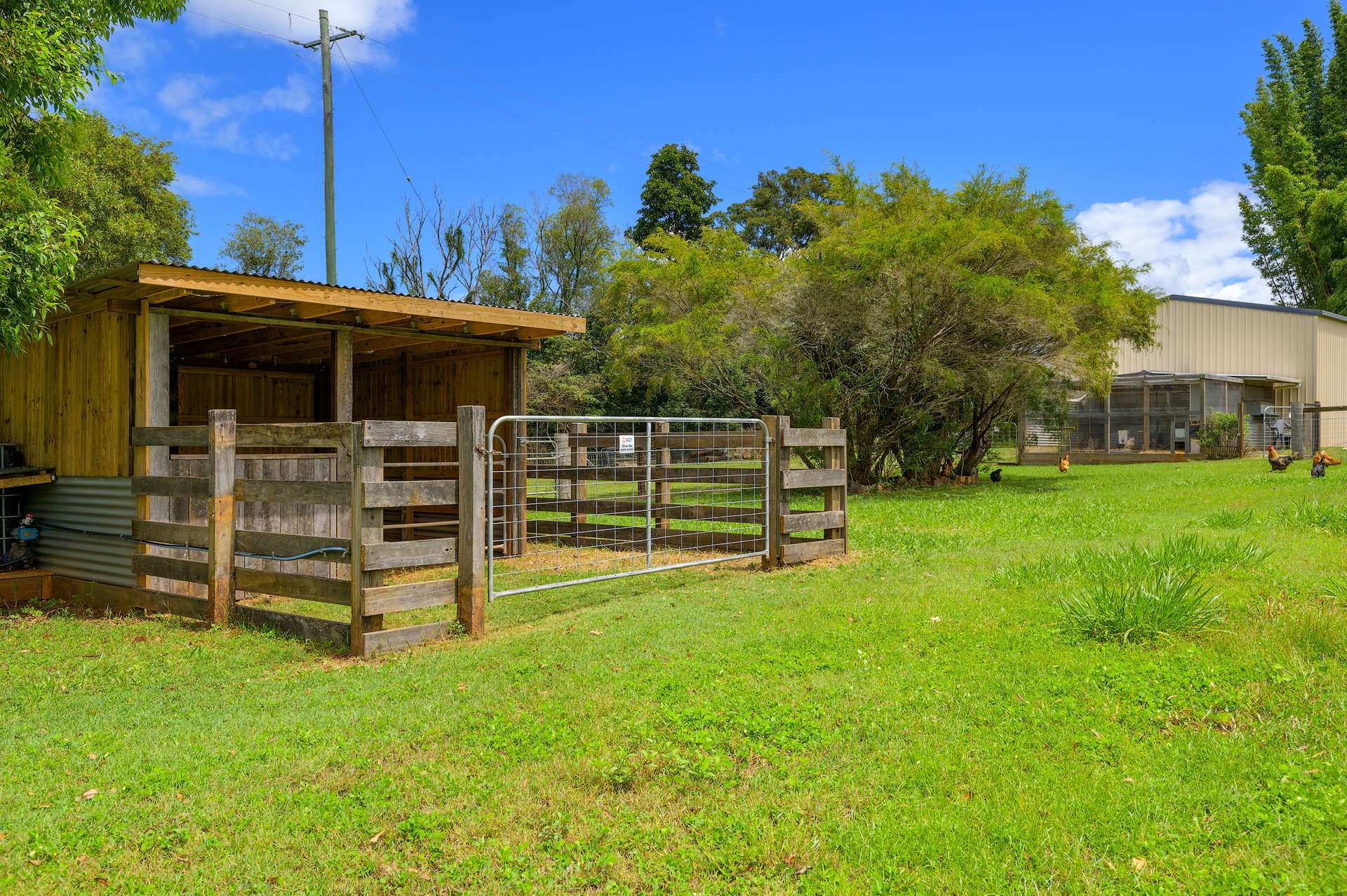 715 Wilsons Pocket Road, Wilsons Pocket For Sale by Farmbuy.com - image 35