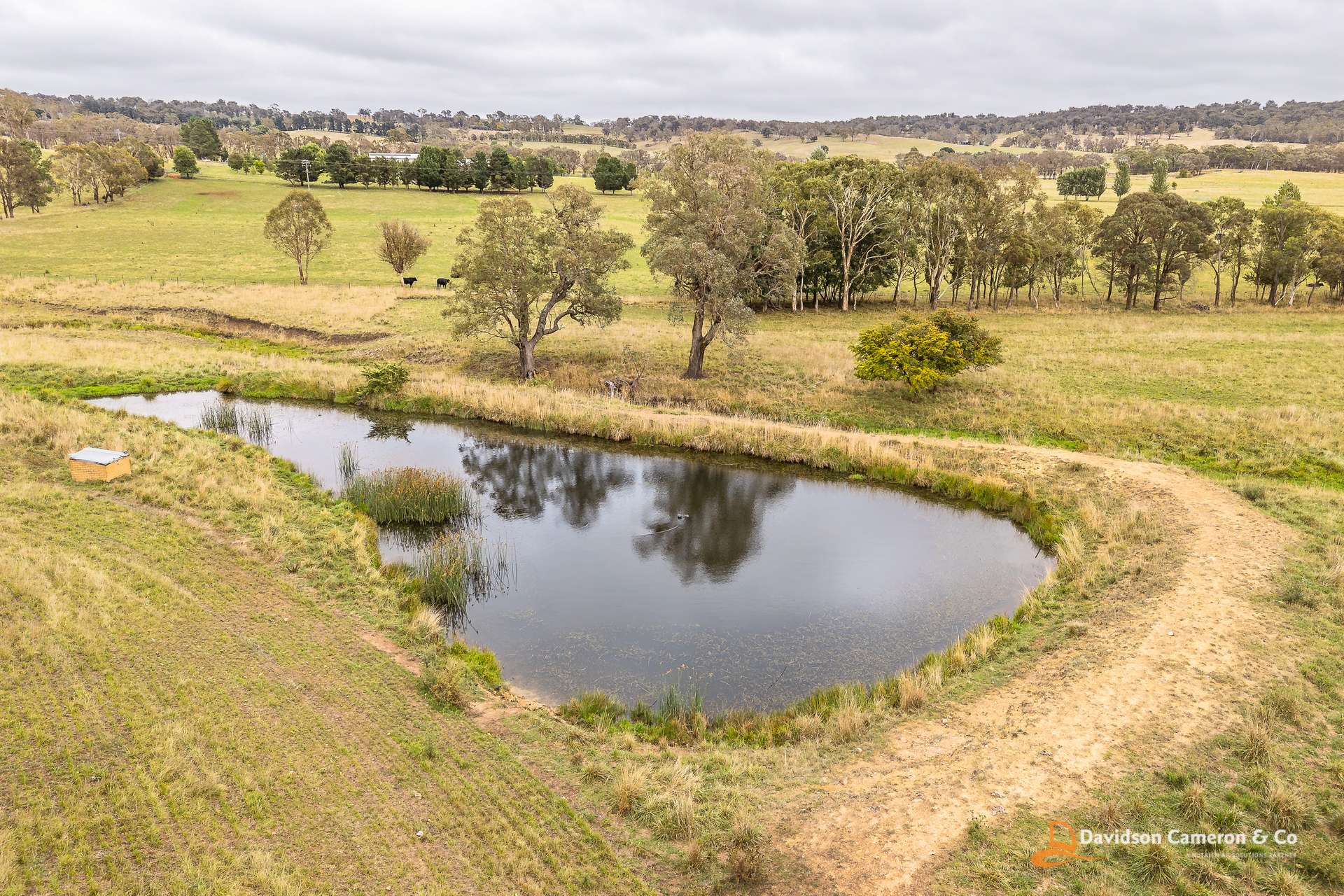 "Langleigh" 14503 Thunderbolts Way, Walcha For Sale by Farmbuy.com - image 20