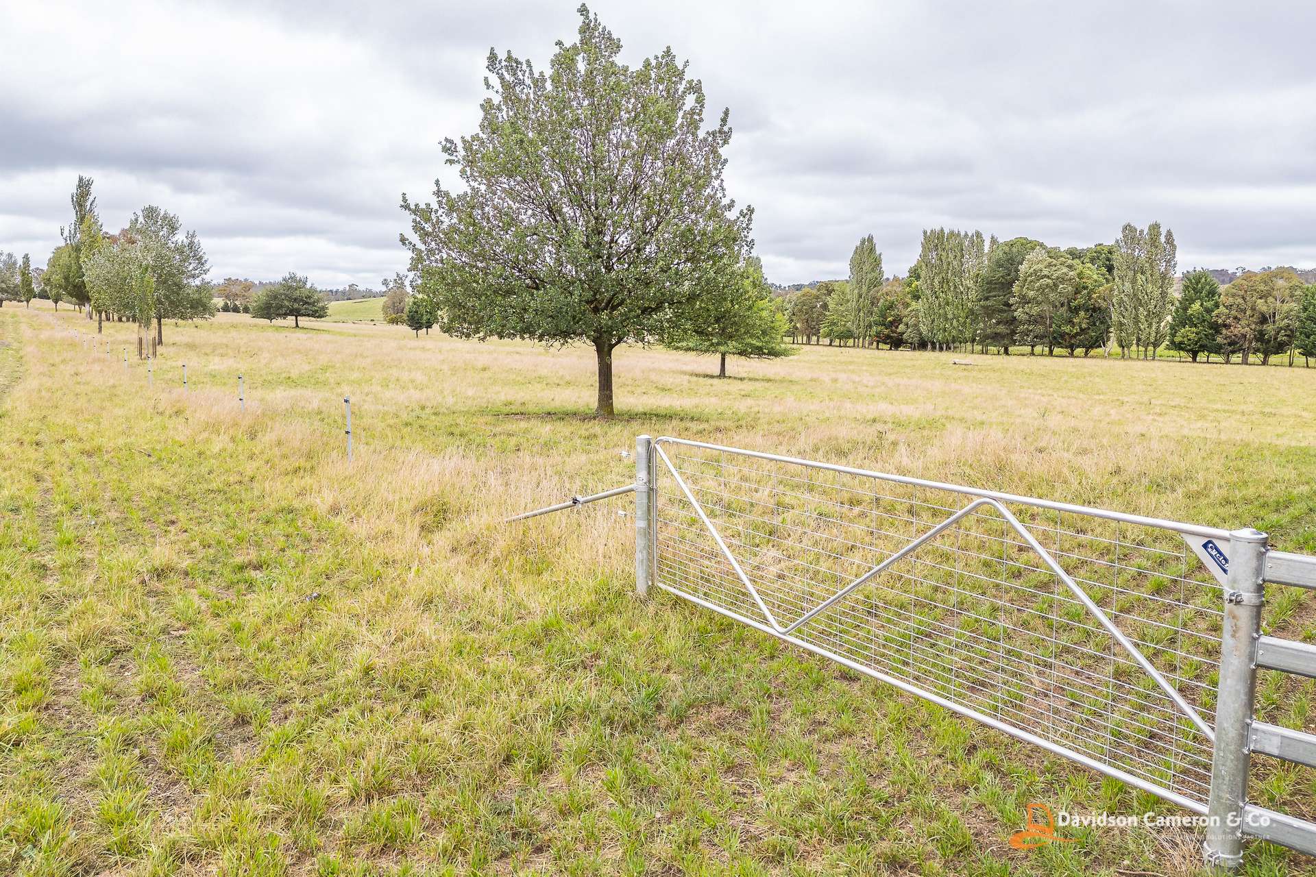 "Langleigh" 14503 Thunderbolts Way, Walcha For Sale by Farmbuy.com - image 22