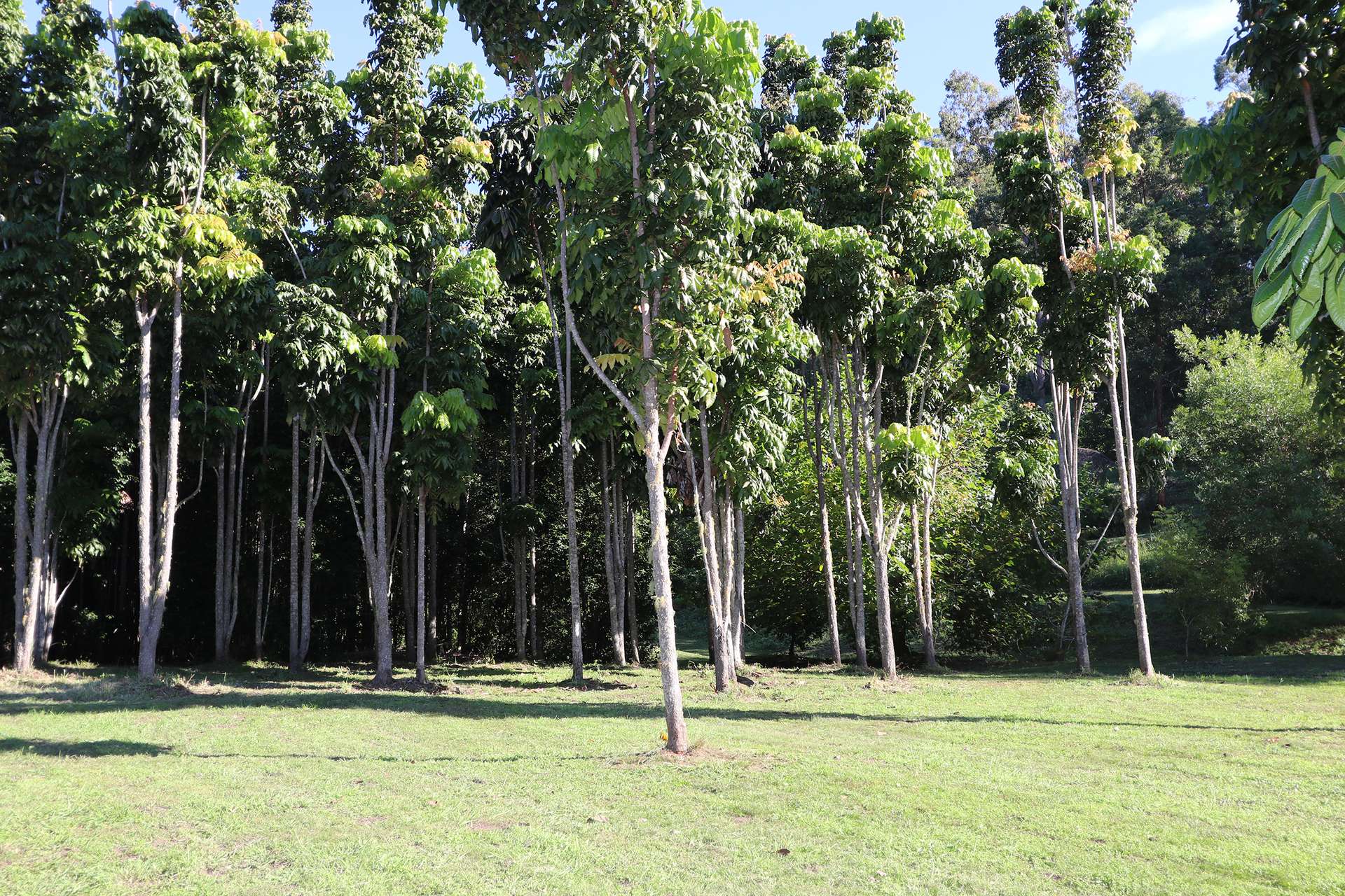 240 Stanger Road, Stony Chute For Sale by Farmbuy.com - image 35