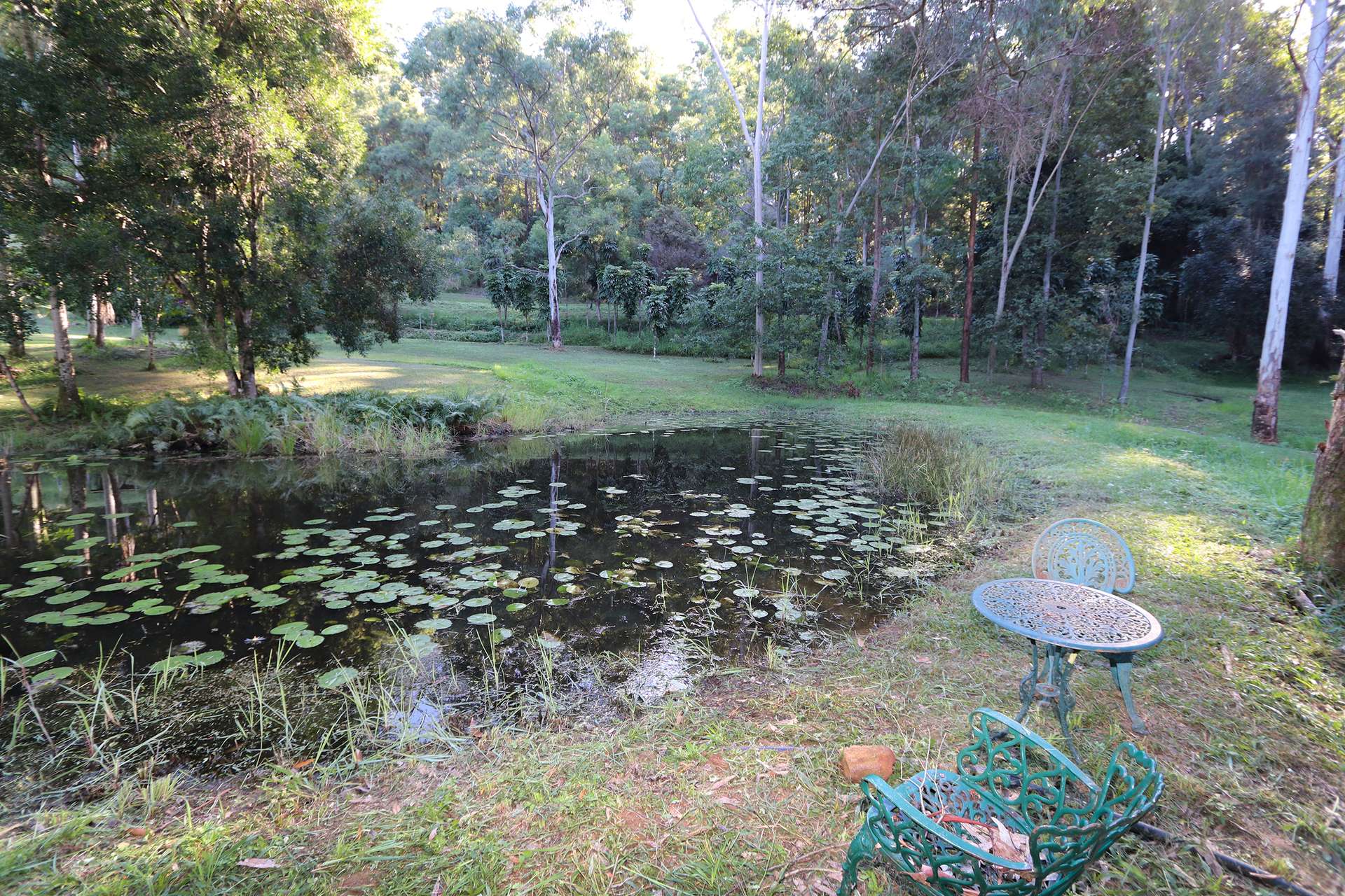 240 Stanger Road, Stony Chute For Sale by Farmbuy.com - image 33