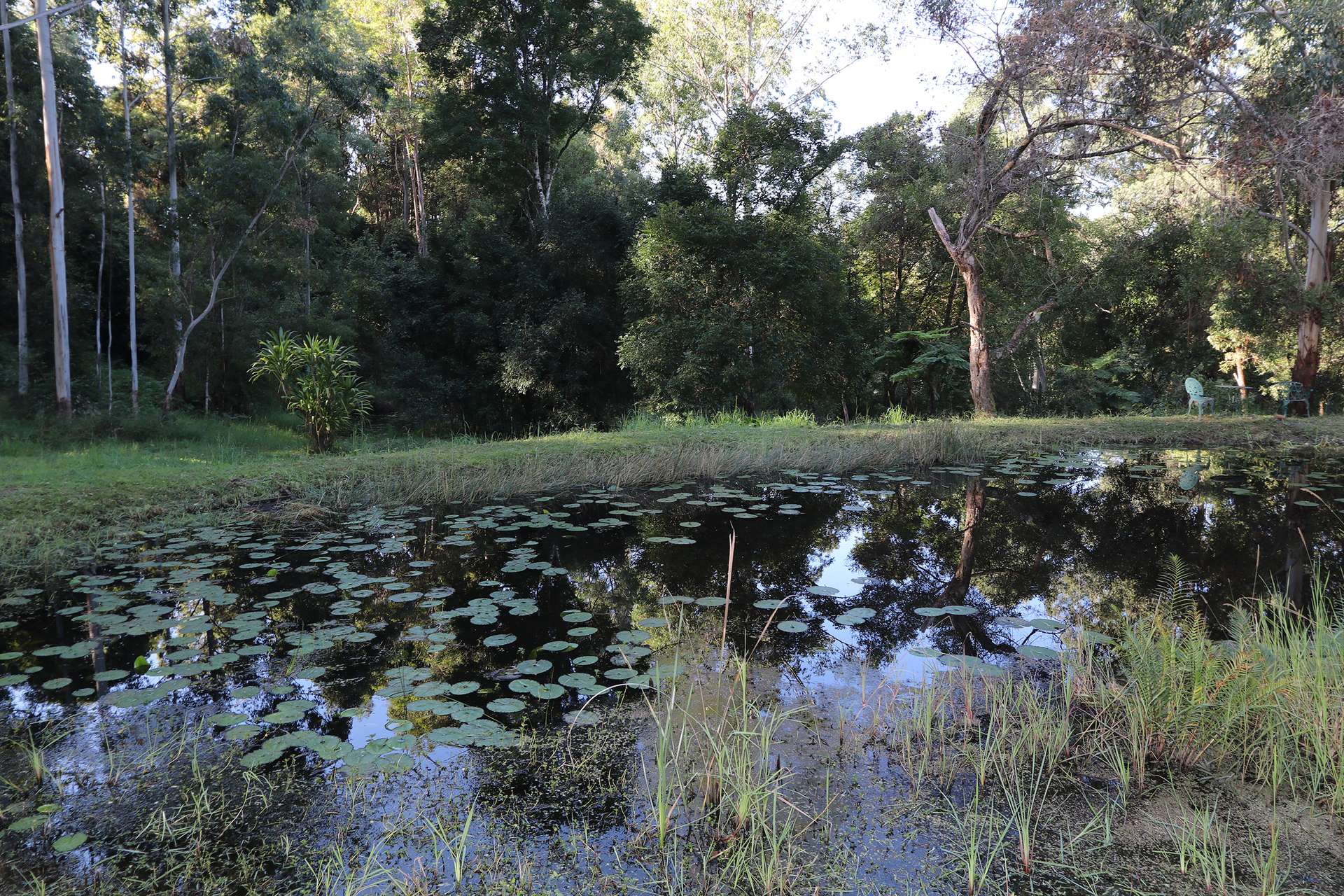 240 Stanger Road, Stony Chute For Sale by Farmbuy.com - image 34
