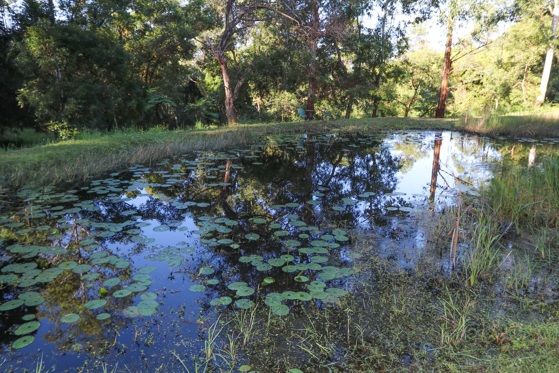 240 Stanger Road, Stony Chute For Sale by Farmbuy.com - image 32