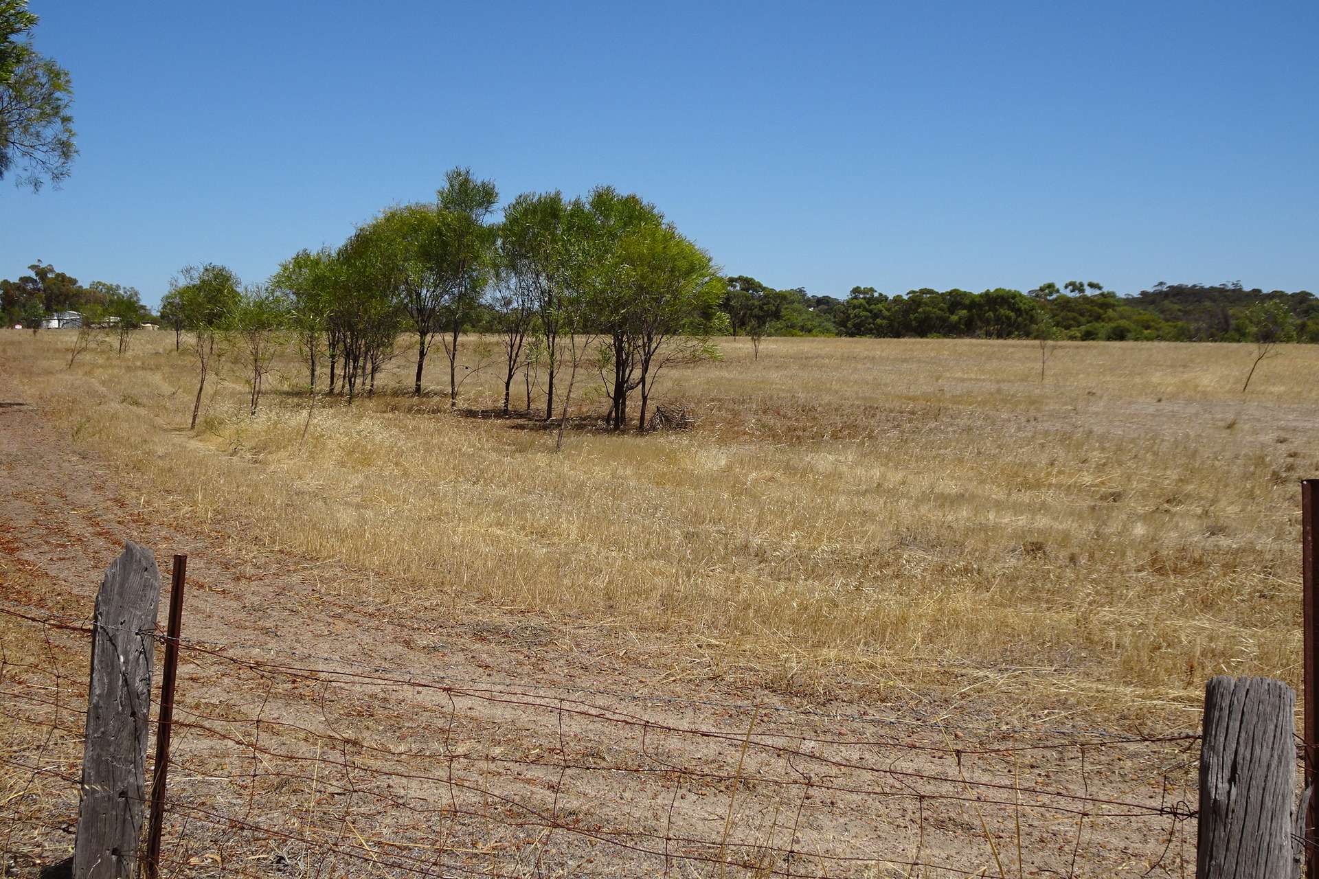 5 Realm Street, Pingelly Sold by Farmbuy.com - image 17
