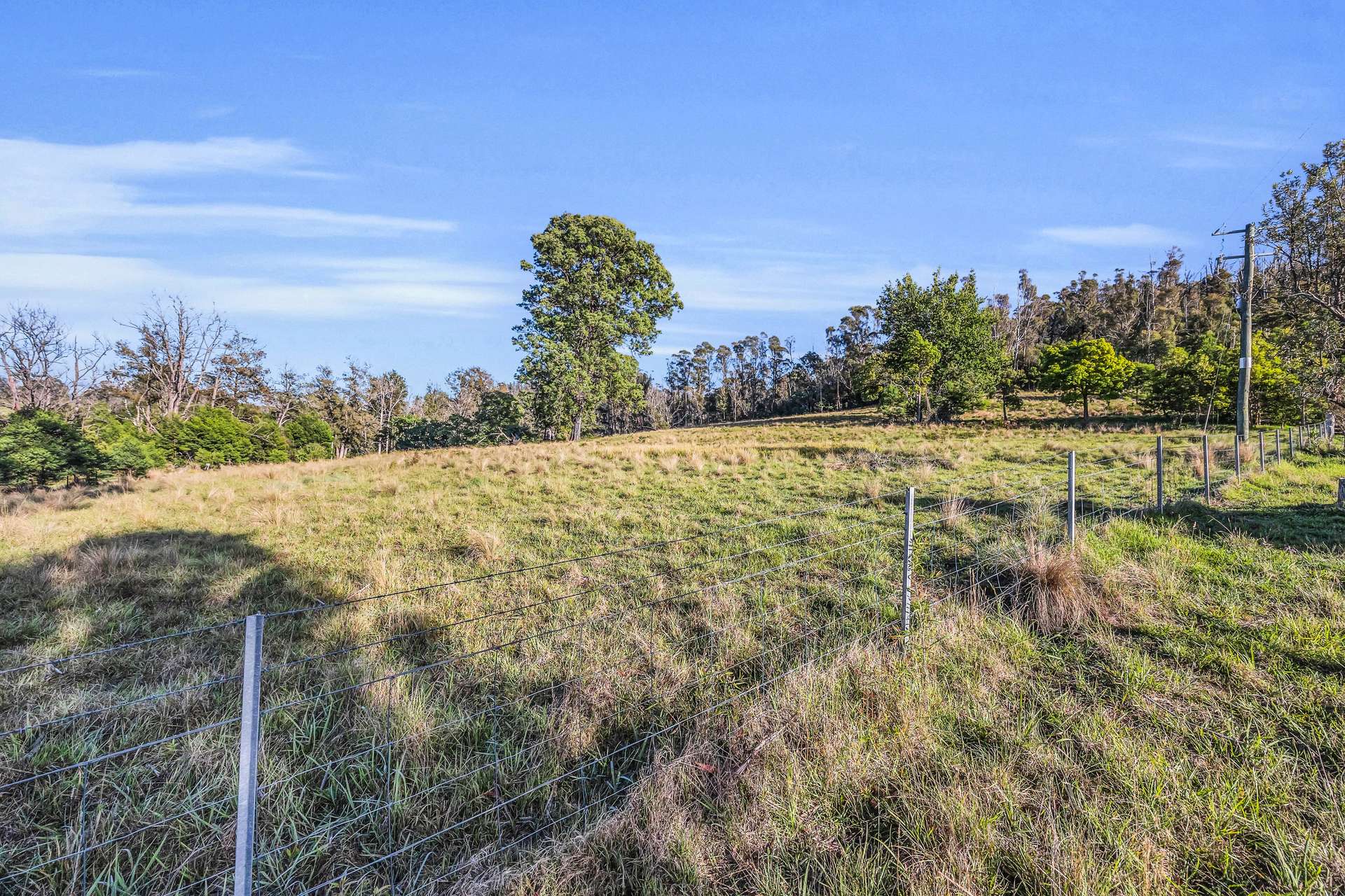 718 Yowrie Road, Yowrie For Sale by Farmbuy.com - image 12