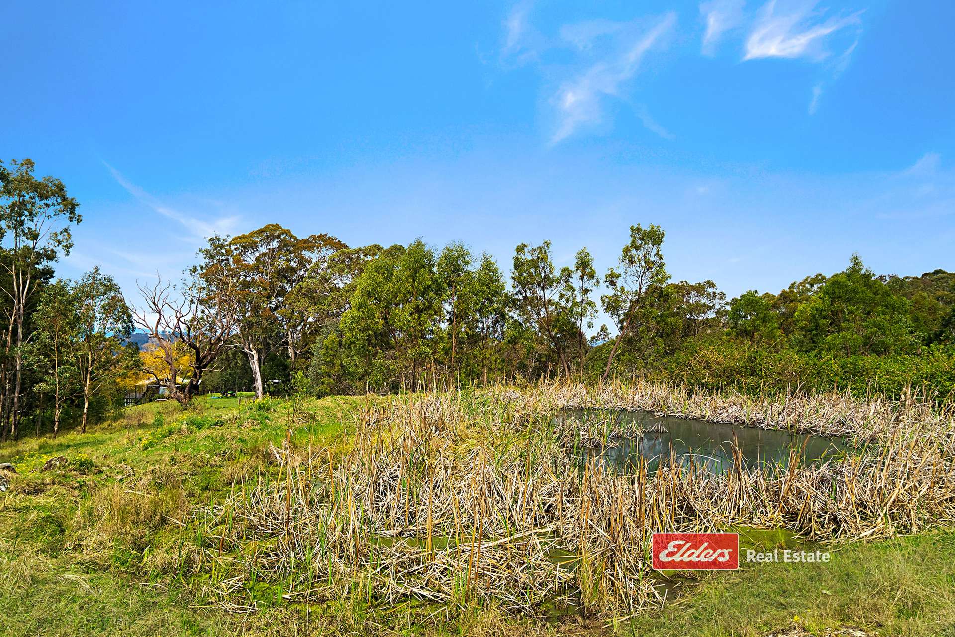 360 Myall Creek Road, Munni Via, Dungog For Sale by Farmbuy.com - image 26