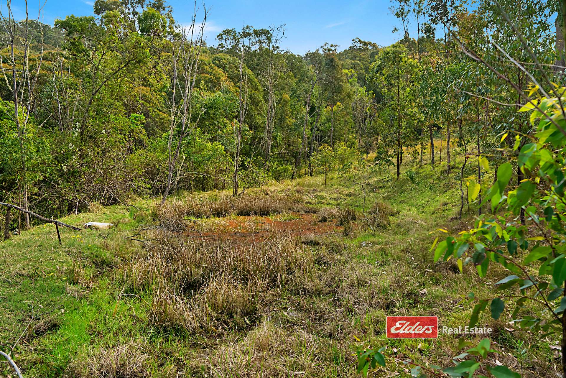 360 Myall Creek Road, Munni Via, Dungog For Sale by Farmbuy.com - image 25