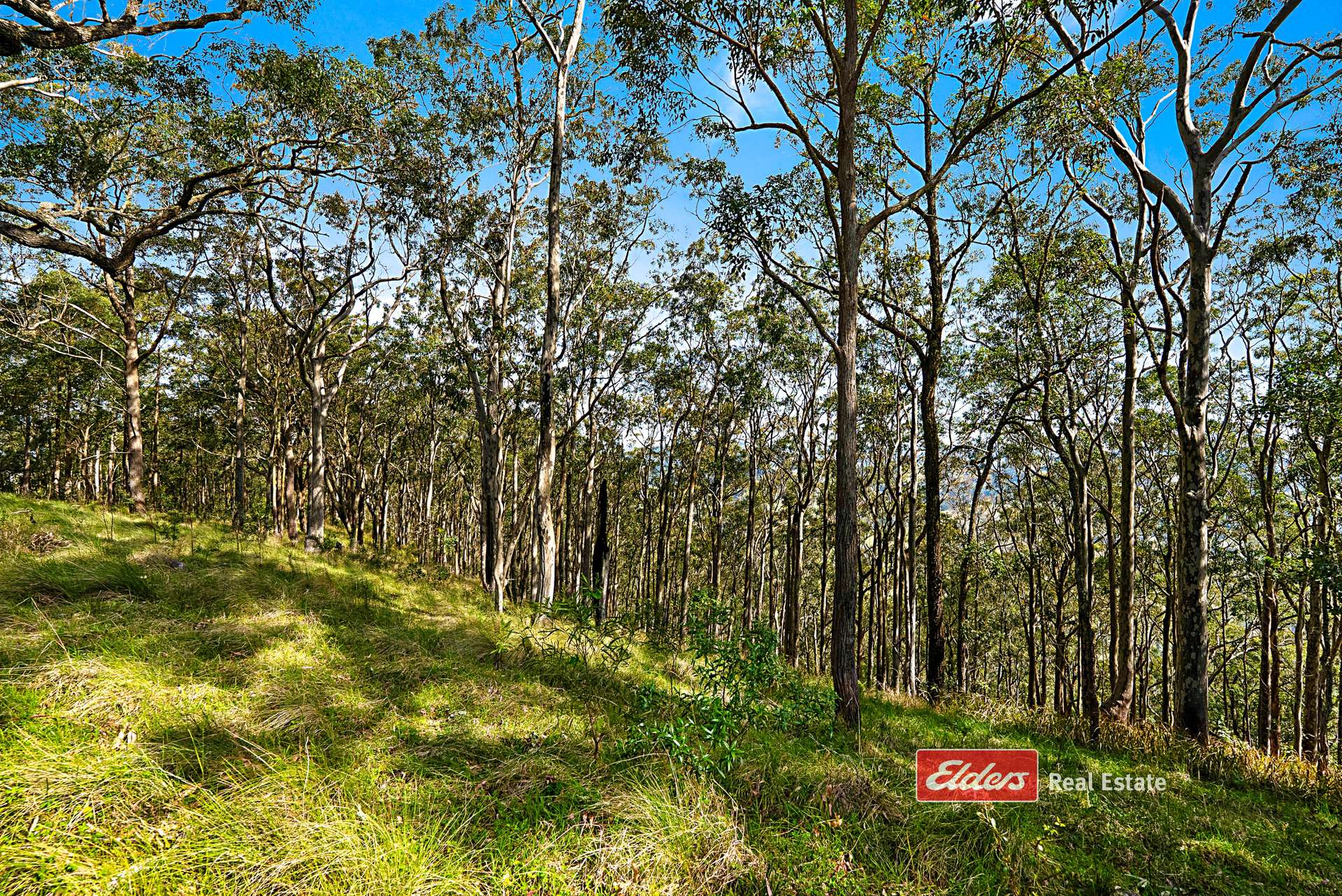360 Myall Creek Road, Munni Via, Dungog For Sale by Farmbuy.com - image 30