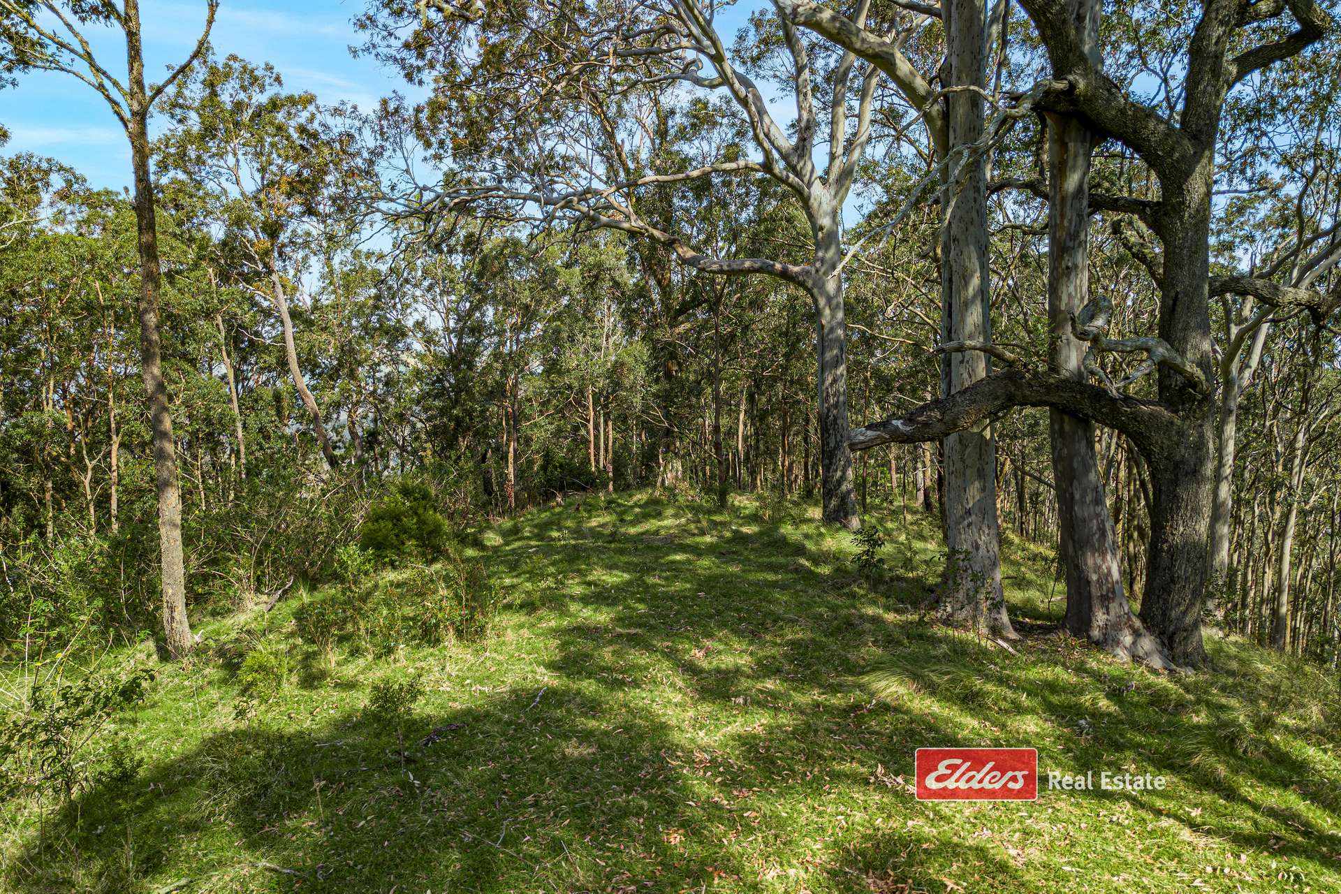 360 Myall Creek Road, Munni Via, Dungog For Sale by Farmbuy.com - image 23
