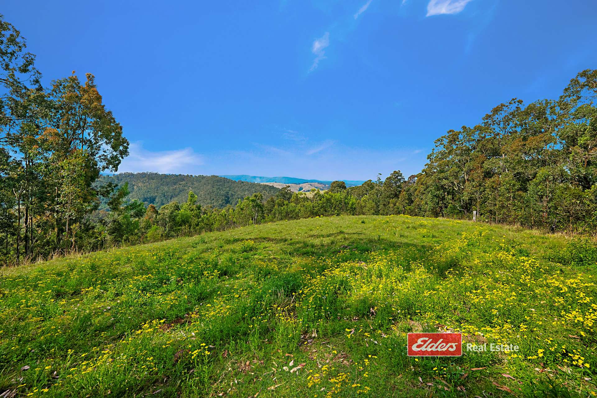 360 Myall Creek Road, Munni Via, Dungog For Sale by Farmbuy.com - image 28