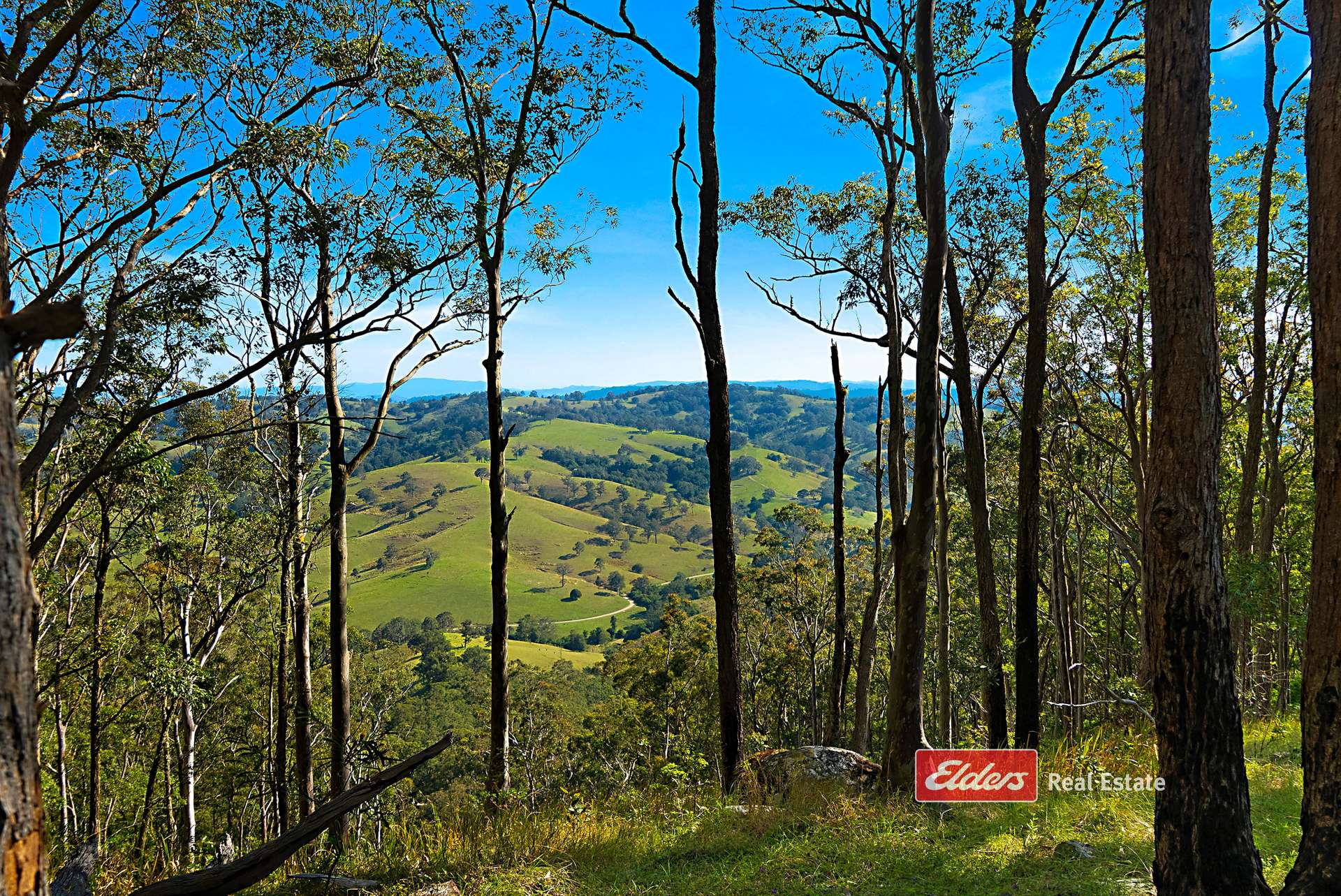 360 Myall Creek Road, Munni Via, Dungog For Sale by Farmbuy.com - image 33