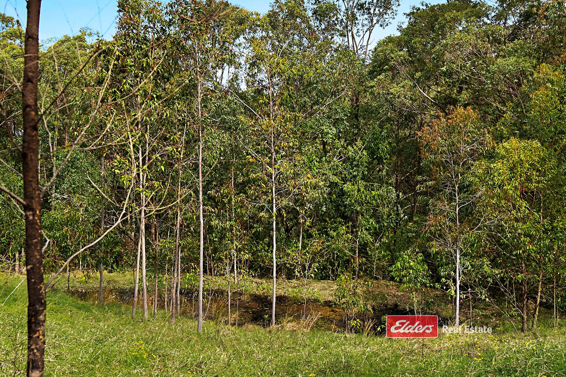 360 Myall Creek Road, Munni Via, Dungog For Sale by Farmbuy.com - image 24