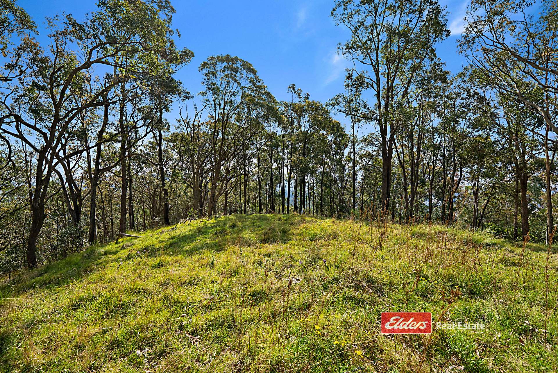 360 Myall Creek Road, Munni Via, Dungog For Sale by Farmbuy.com - image 31