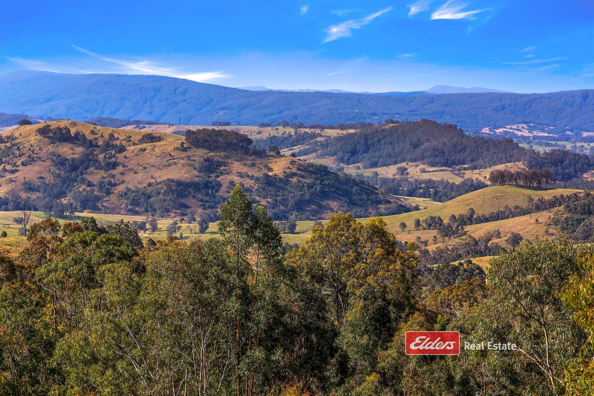 360 Myall Creek Road, Munni Via, Dungog For Sale by Farmbuy.com - image 5