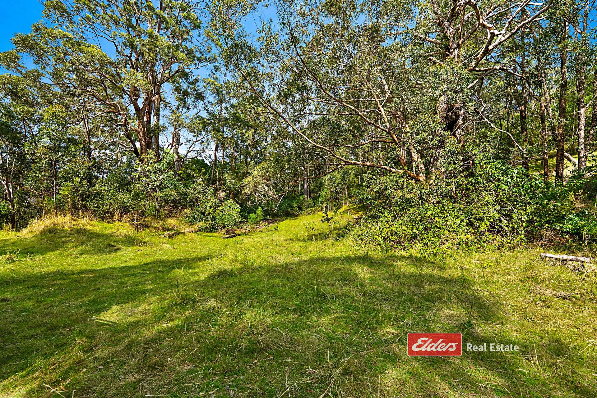 360 Myall Creek Road, Munni Via, Dungog For Sale by Farmbuy.com - image 29