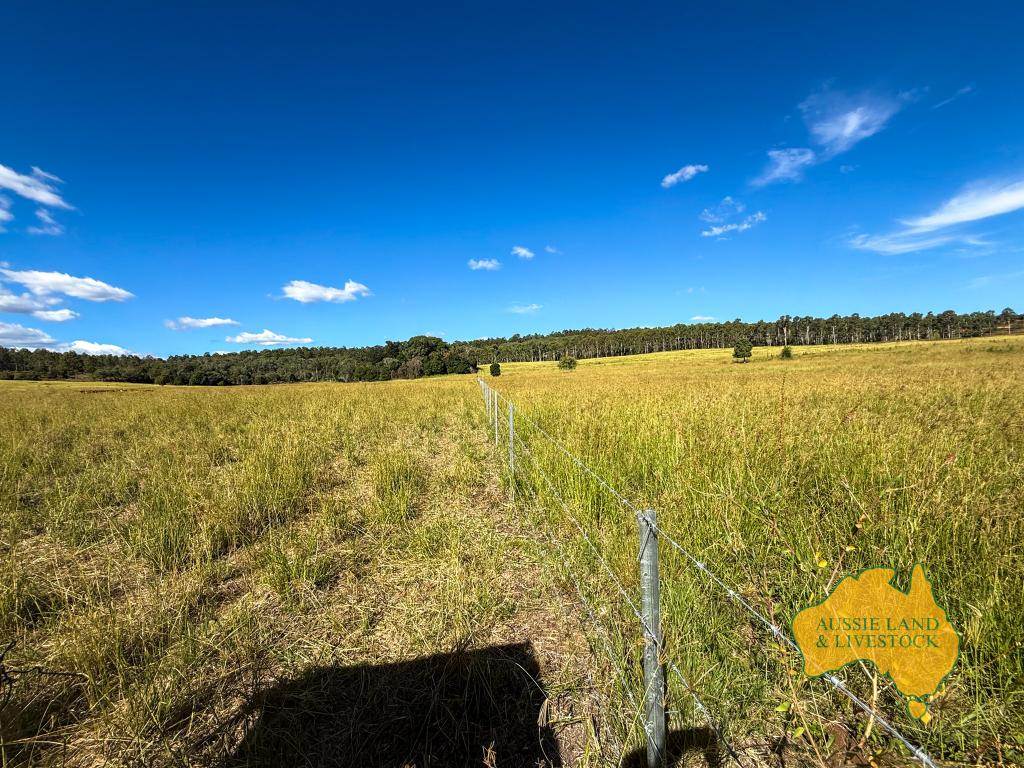 268 Back Creek Road, Stalworth For Sale by Farmbuy.com - image 27