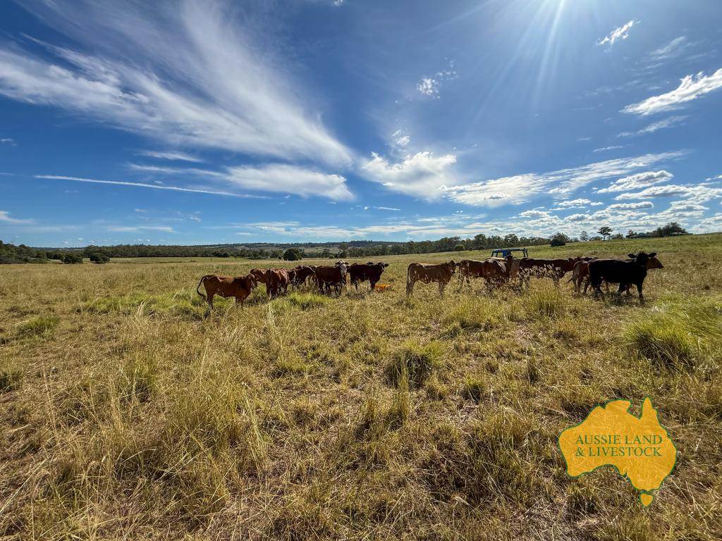 268 Back Creek Road, Stalworth For Sale by Farmbuy.com - image 28