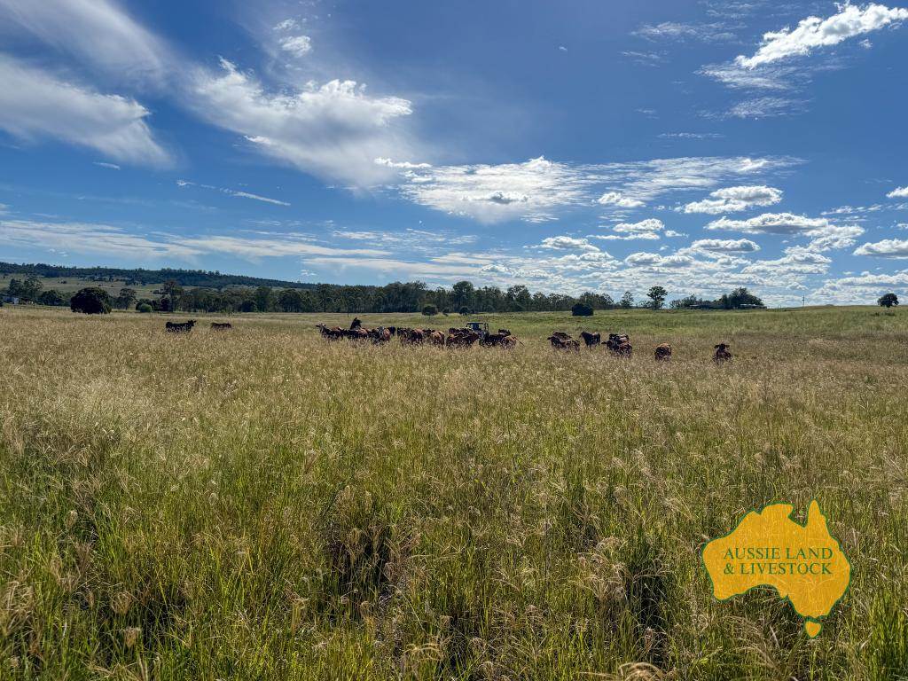 268 Back Creek Road, Stalworth For Sale by Farmbuy.com - image 3