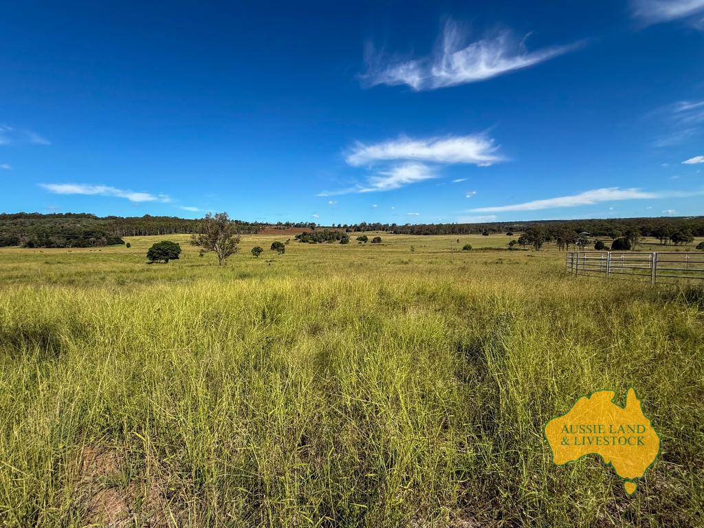 268 Back Creek Road, Stalworth For Sale by Farmbuy.com - image 20