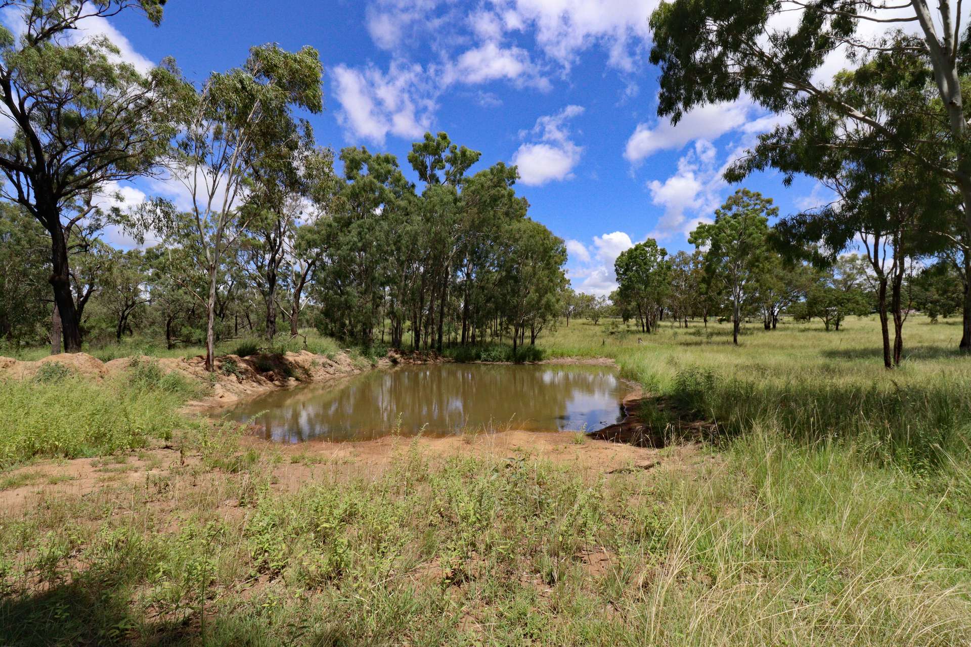 8362 Dawson Highway, Dumgree For Sale by Farmbuy.com - image 4