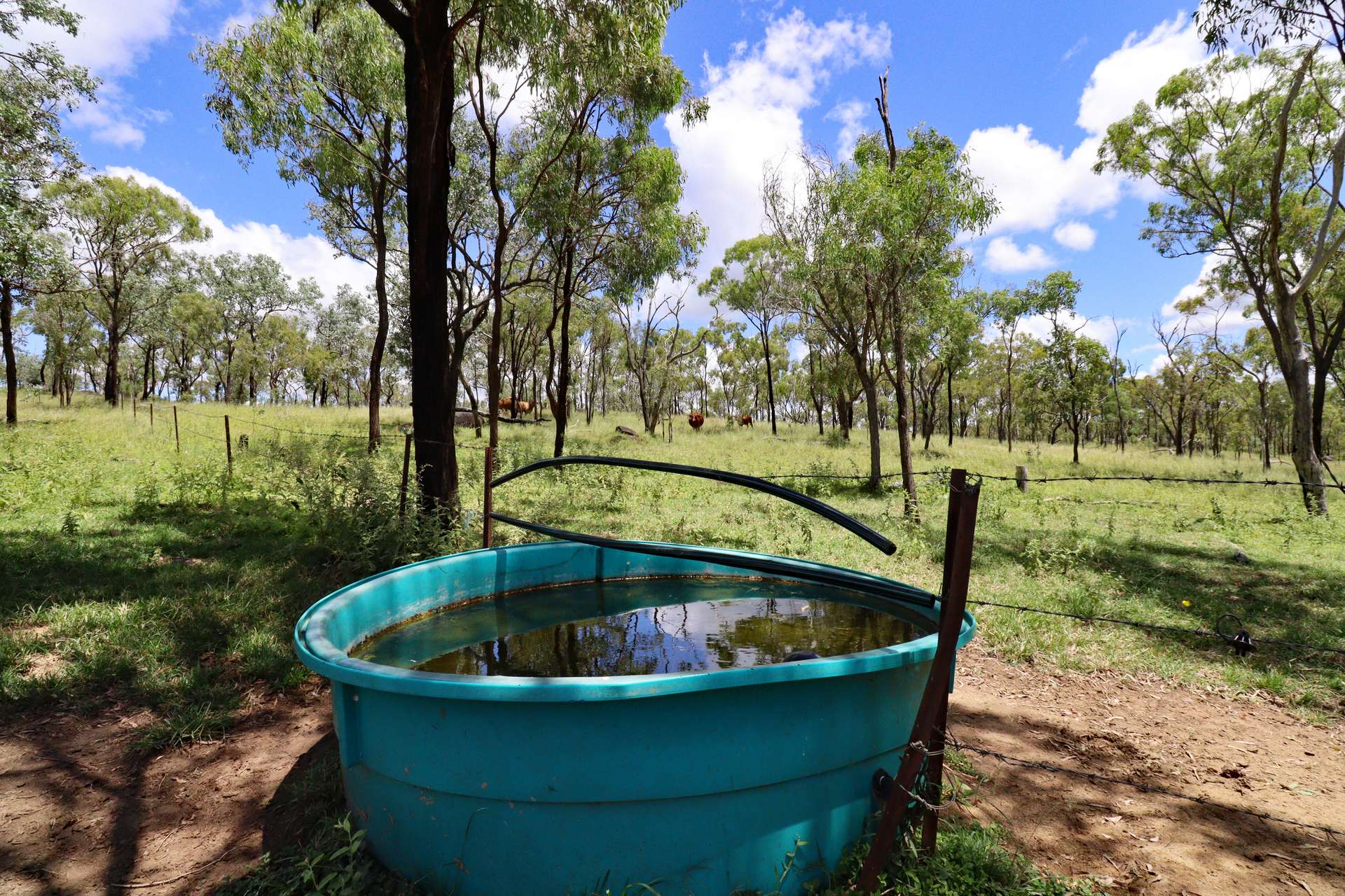 8362 Dawson Highway, Dumgree For Sale by Farmbuy.com - image 21