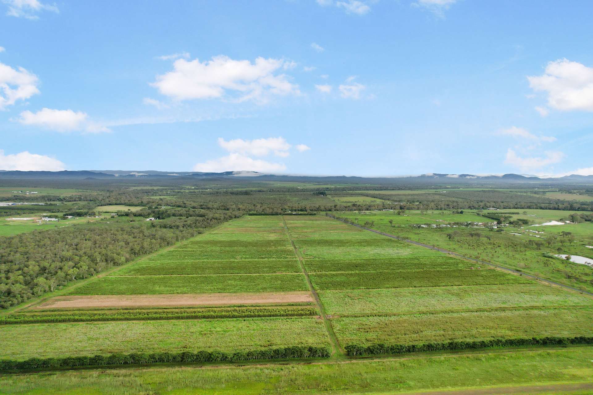 Lot 113 Leadingham Creek Road, Dimbulah For Sale by Farmbuy.com - image 9