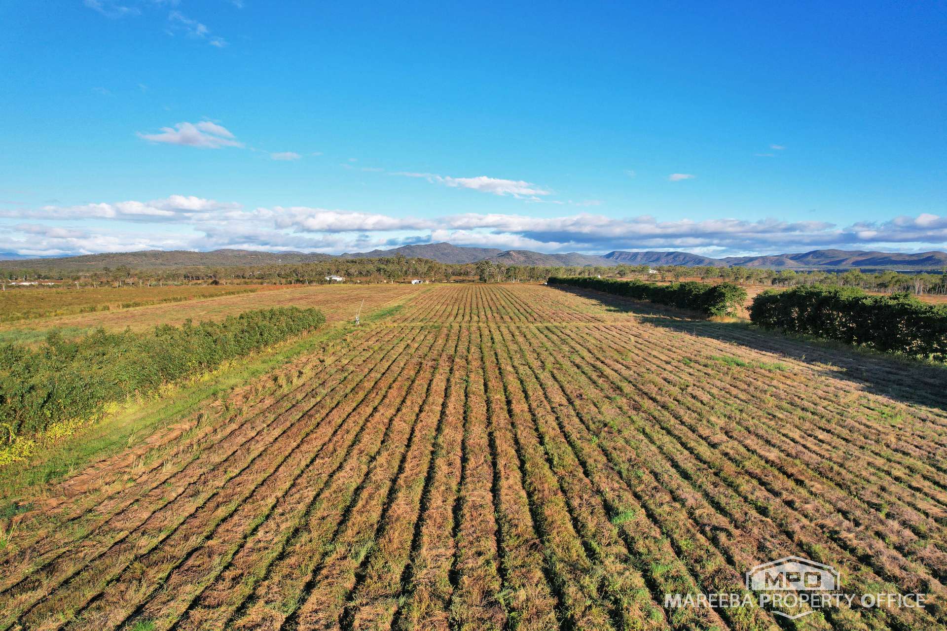 Lot 113 Leadingham Creek Road, Dimbulah For Sale by Farmbuy.com - image 10