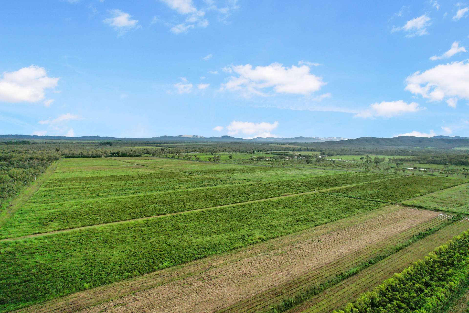 Lot 113 Leadingham Creek Road, Dimbulah For Sale by Farmbuy.com - image 22