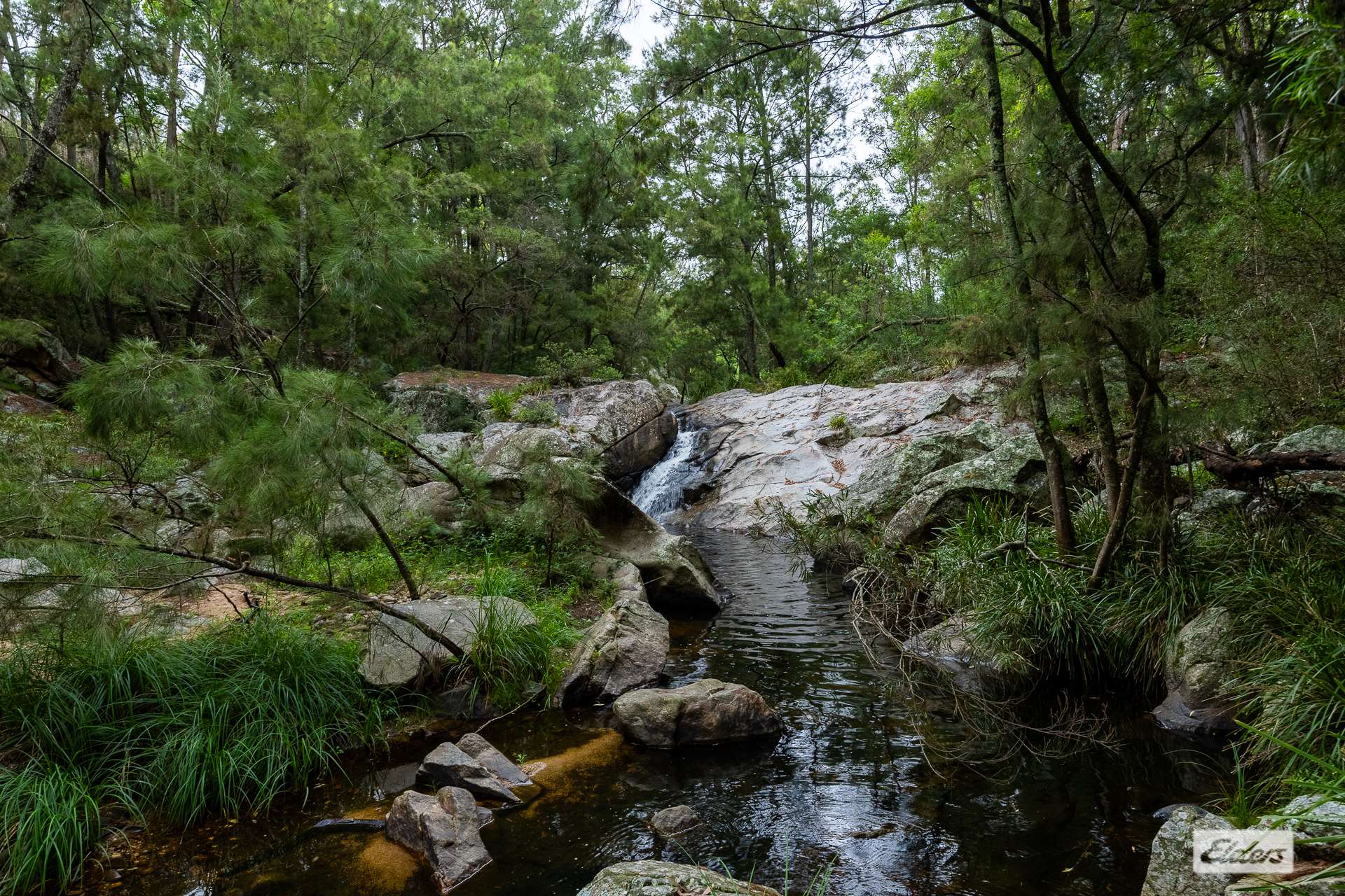 50 House Creek Road, Brogo For Sale by Farmbuy.com - image 19