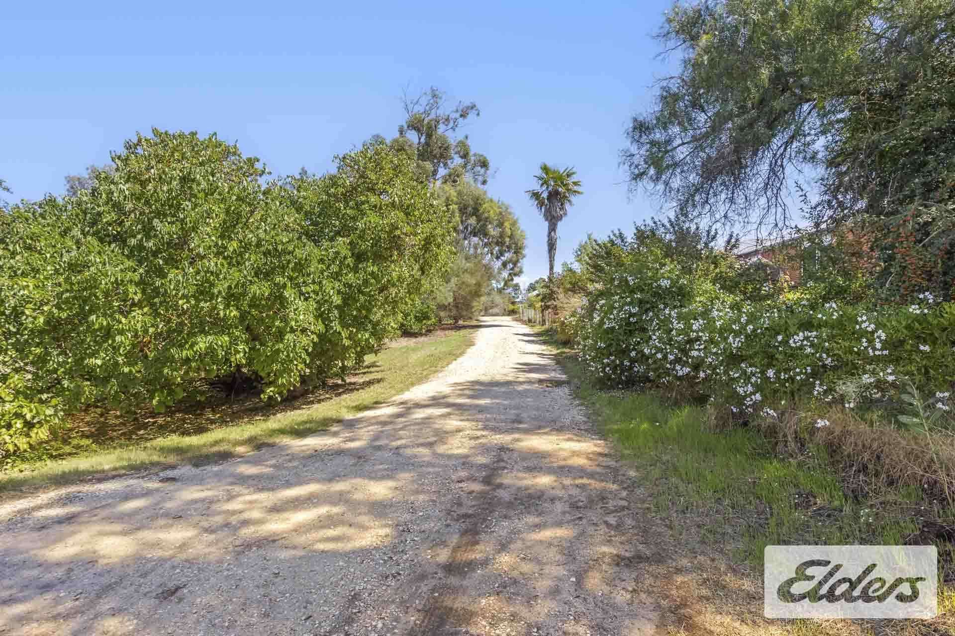 2a Palmerston Street, Newstead For Sale by Farmbuy.com - image 32