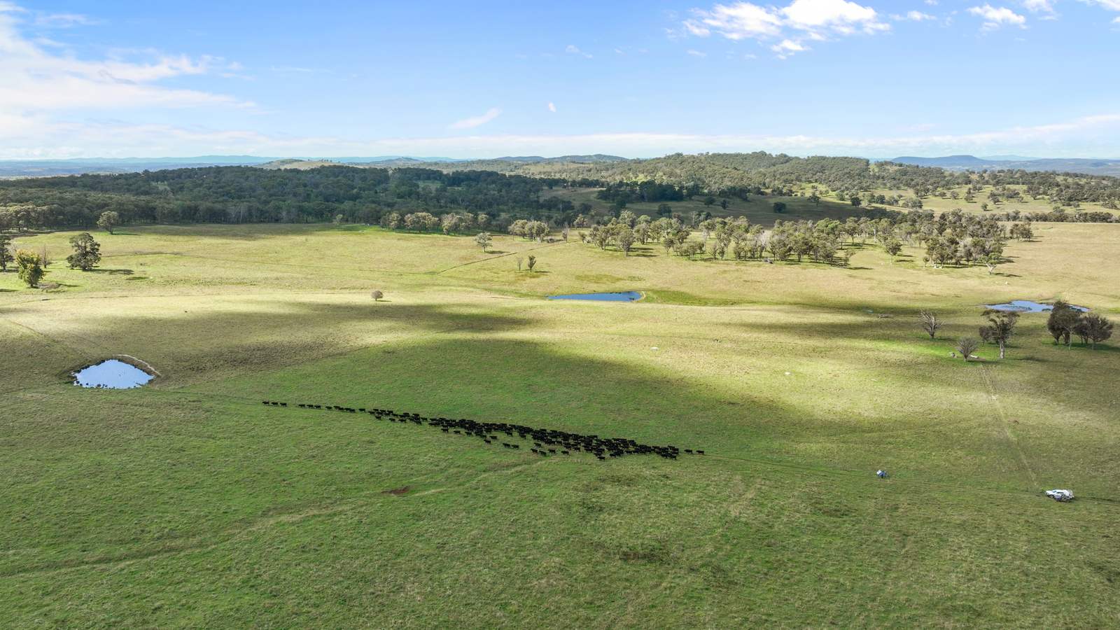 "Wyanga" 195 Gills Road, Uralla For Sale by Farmbuy.com - image 10